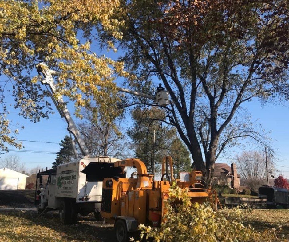 Storm cleanup