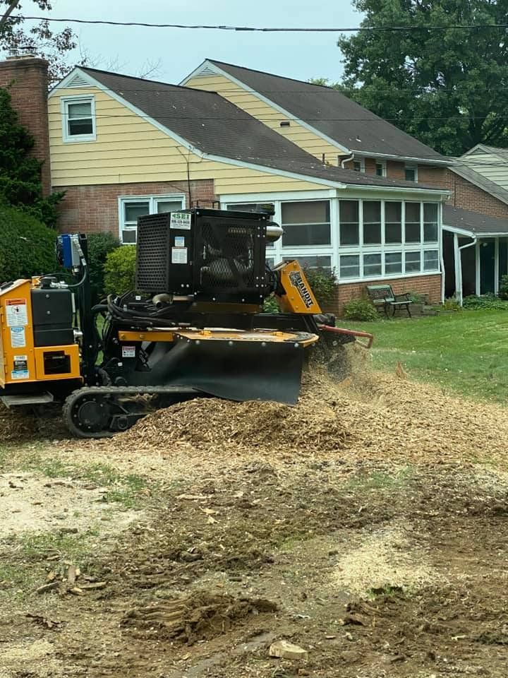 Stump removal