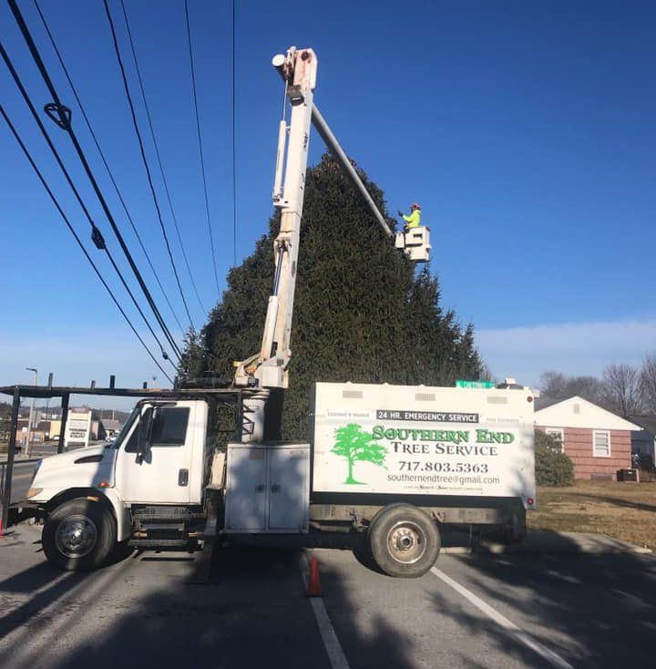 Tree trimming