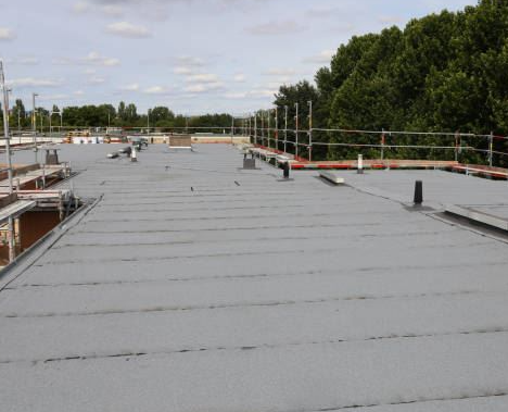 Flat, gray roof with horizontal lines, scaffolding, and safety railings; trees and sky in the background.