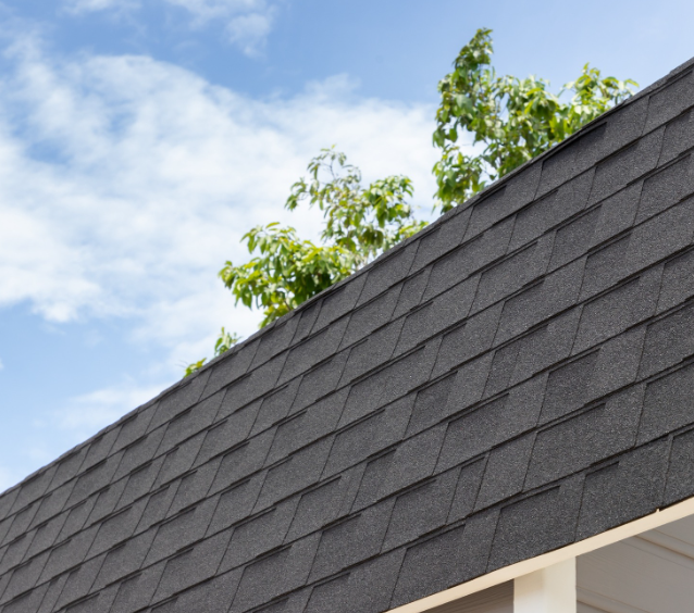 Dark gray asphalt shingle roof, with a clear sky and green tree branches visible above.