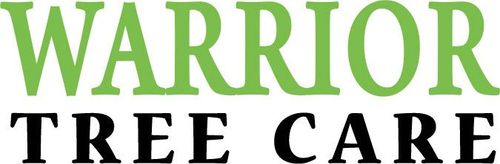 Black-and-white company logo with stylized icon and the word “logo” in bold italics