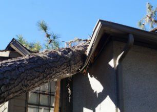Learn More About Storm Damage Storm Damage