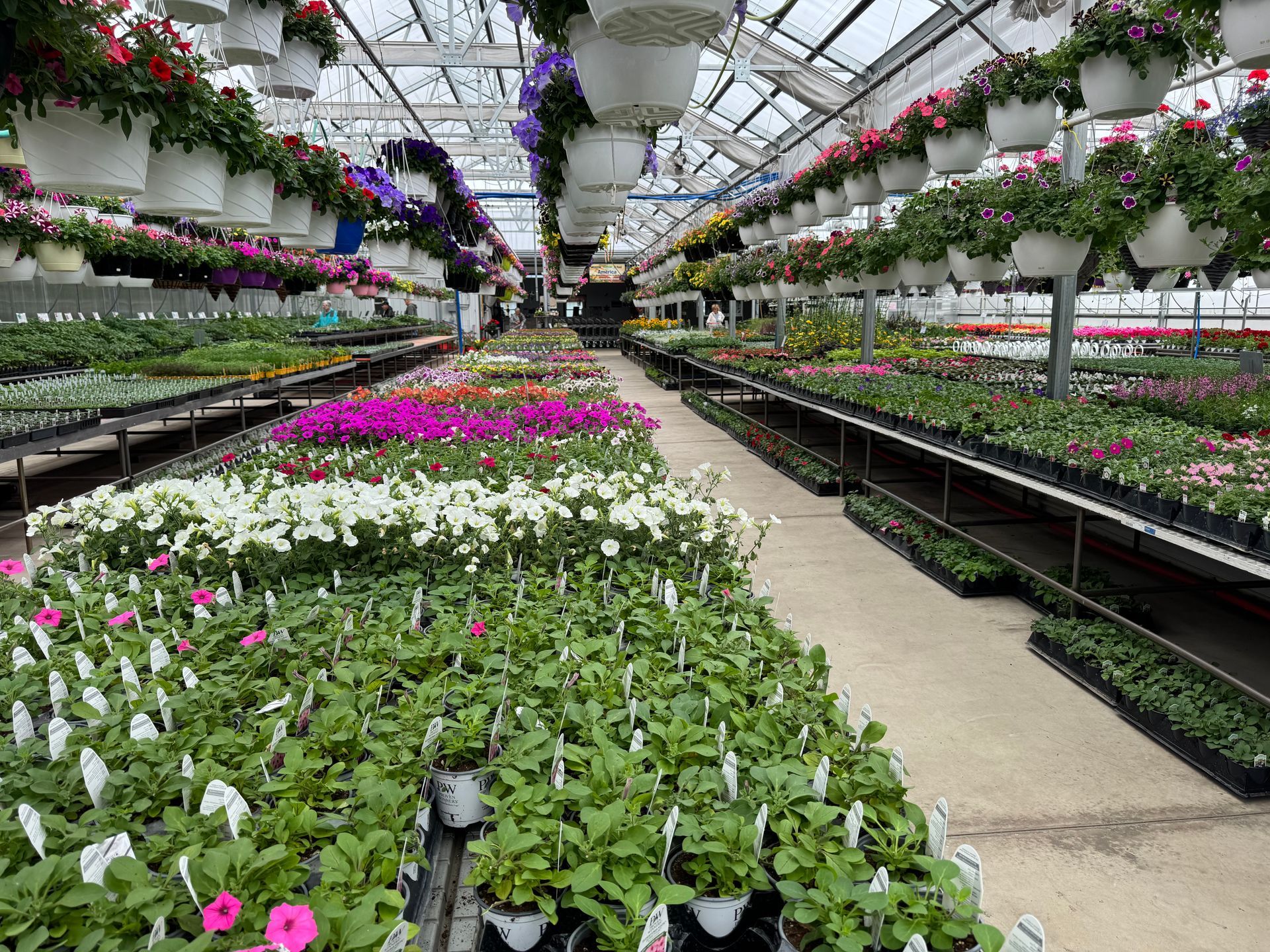 A greenhouse filled with lots of potted plants and hanging baskets.