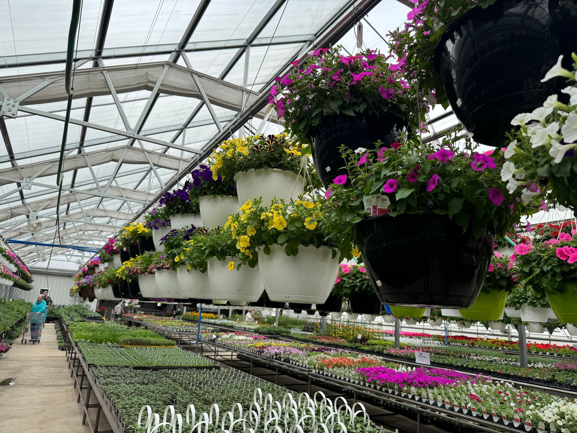 A greenhouse filled with lots of potted flowers hanging from the ceiling.