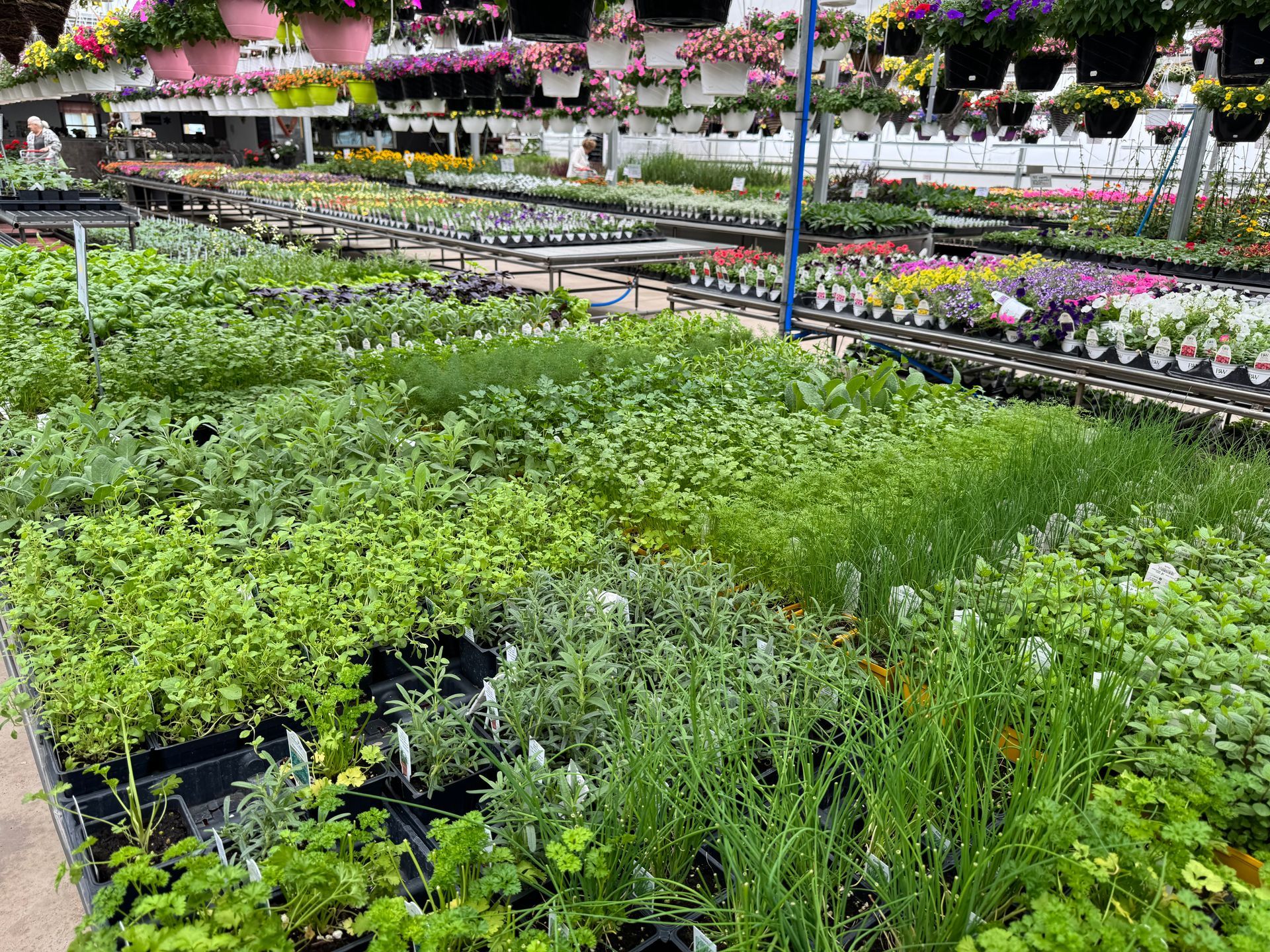 A garden center filled with lots of potted plants and flowers.