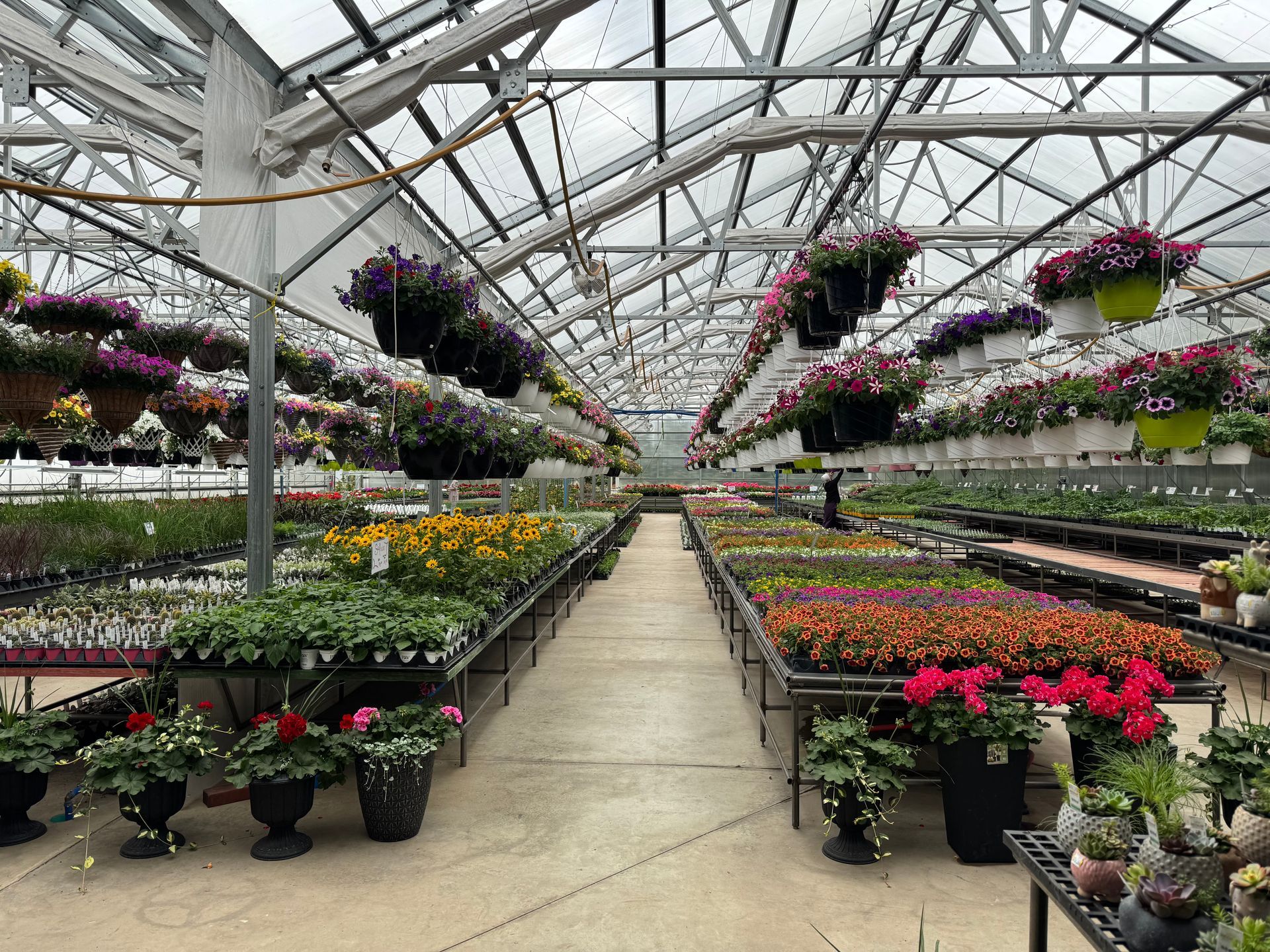 A greenhouse filled with lots of potted plants and hanging baskets.
