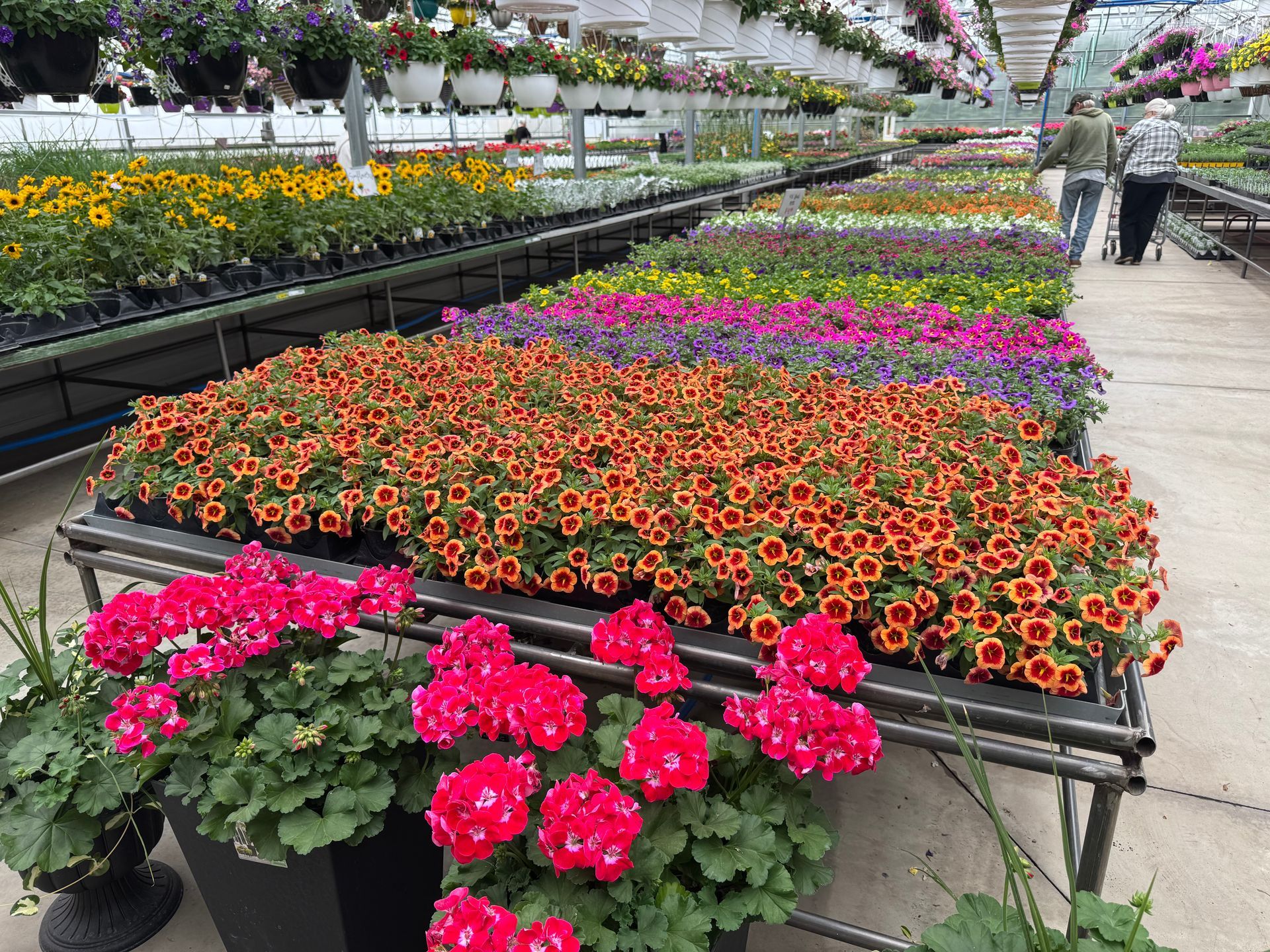 A greenhouse filled with lots of different types of flowers.