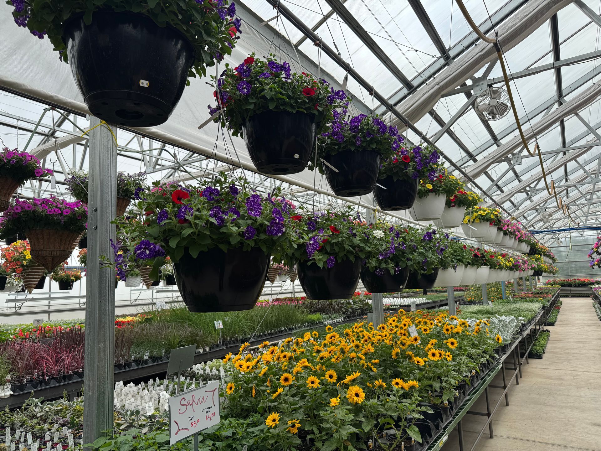A greenhouse filled with lots of potted plants and hanging baskets of flowers.
