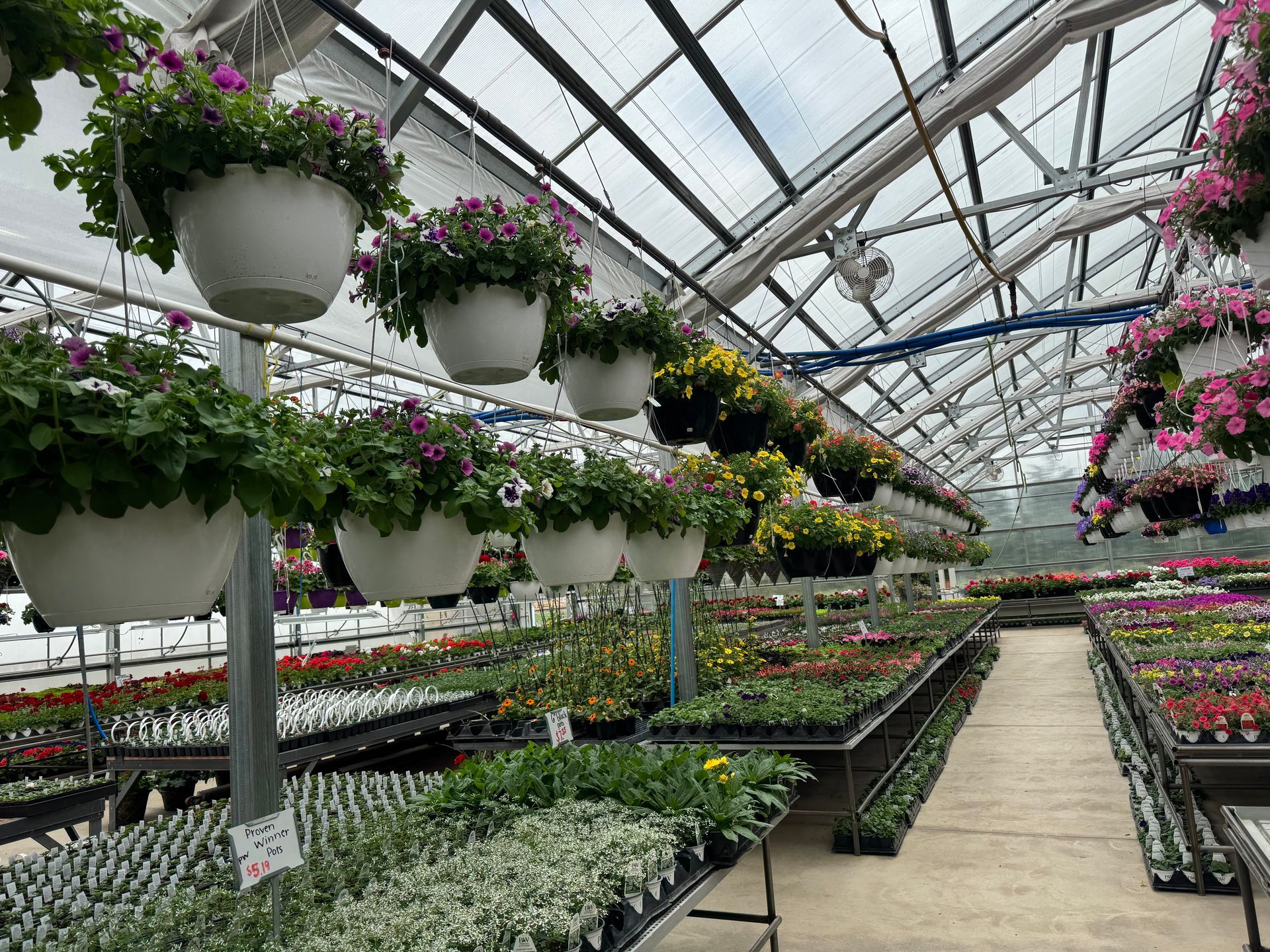 A greenhouse filled with lots of potted plants and hanging baskets of flowers.