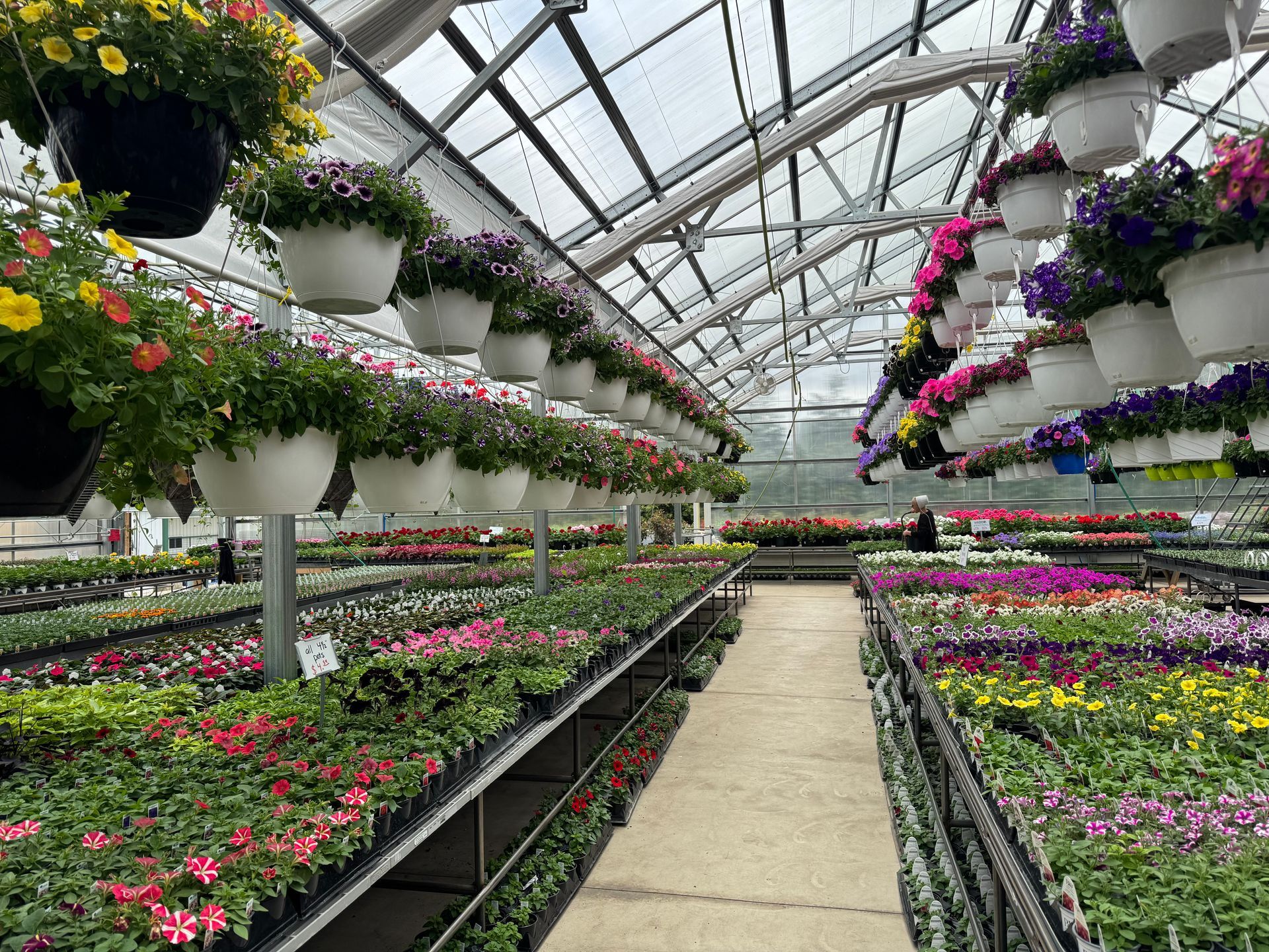 A greenhouse filled with lots of potted plants and hanging baskets of flowers.