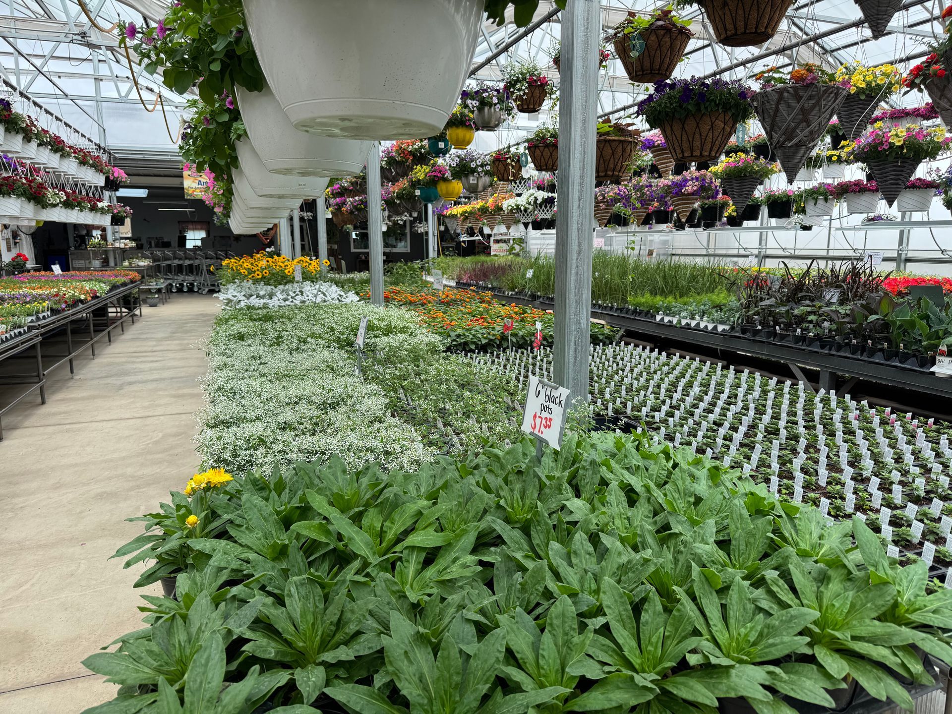 A greenhouse filled with lots of potted plants and hanging baskets.