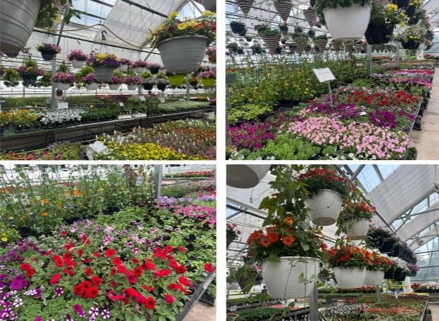 Collage of colorful flowers and hanging baskets in a greenhouse nursery