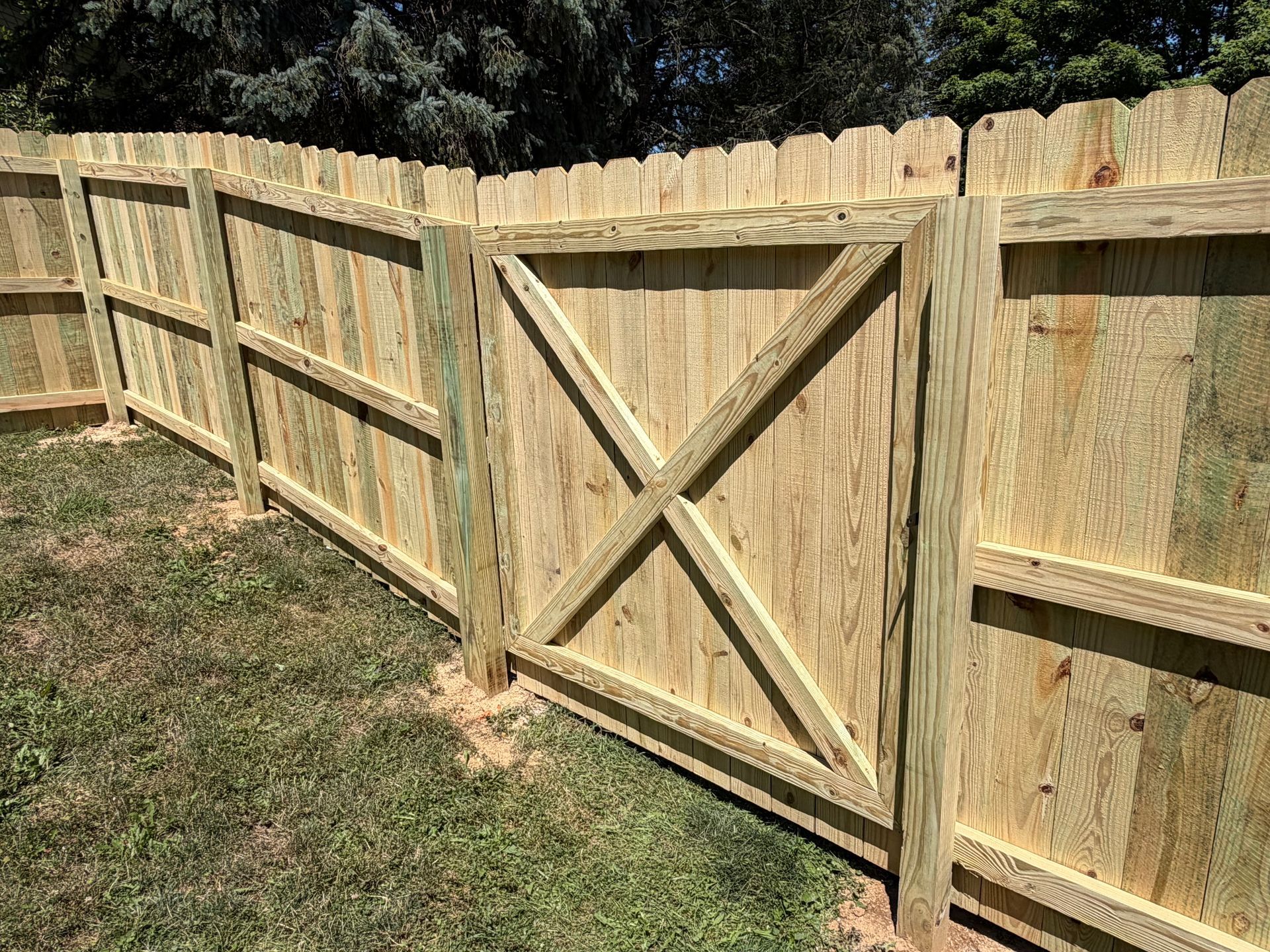 Wooden privacy fence with a diagonal X gate along a grassy yard edge under bright sunlight