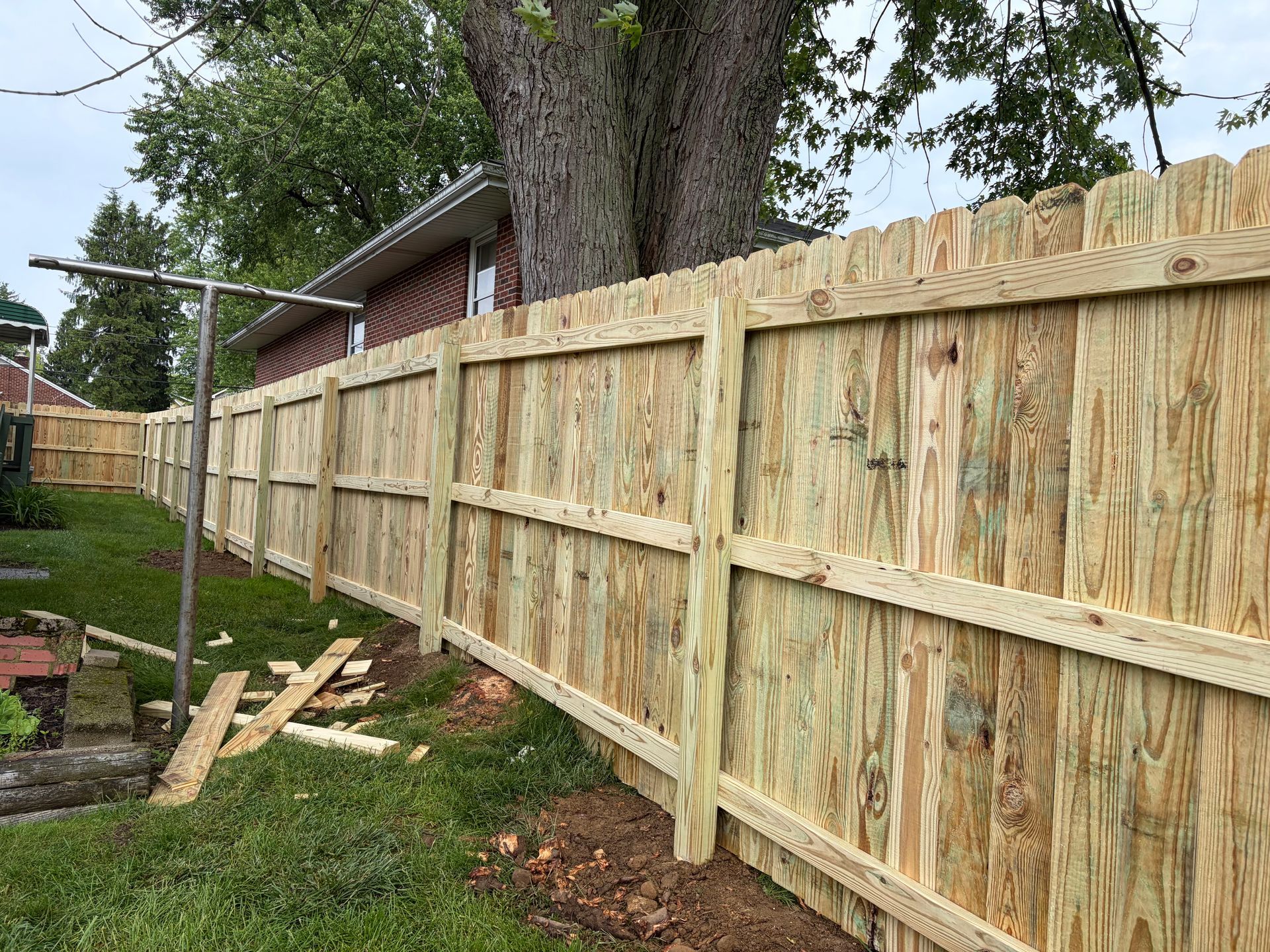 Wooden privacy fence along a grassy yard beside a large tree and house
