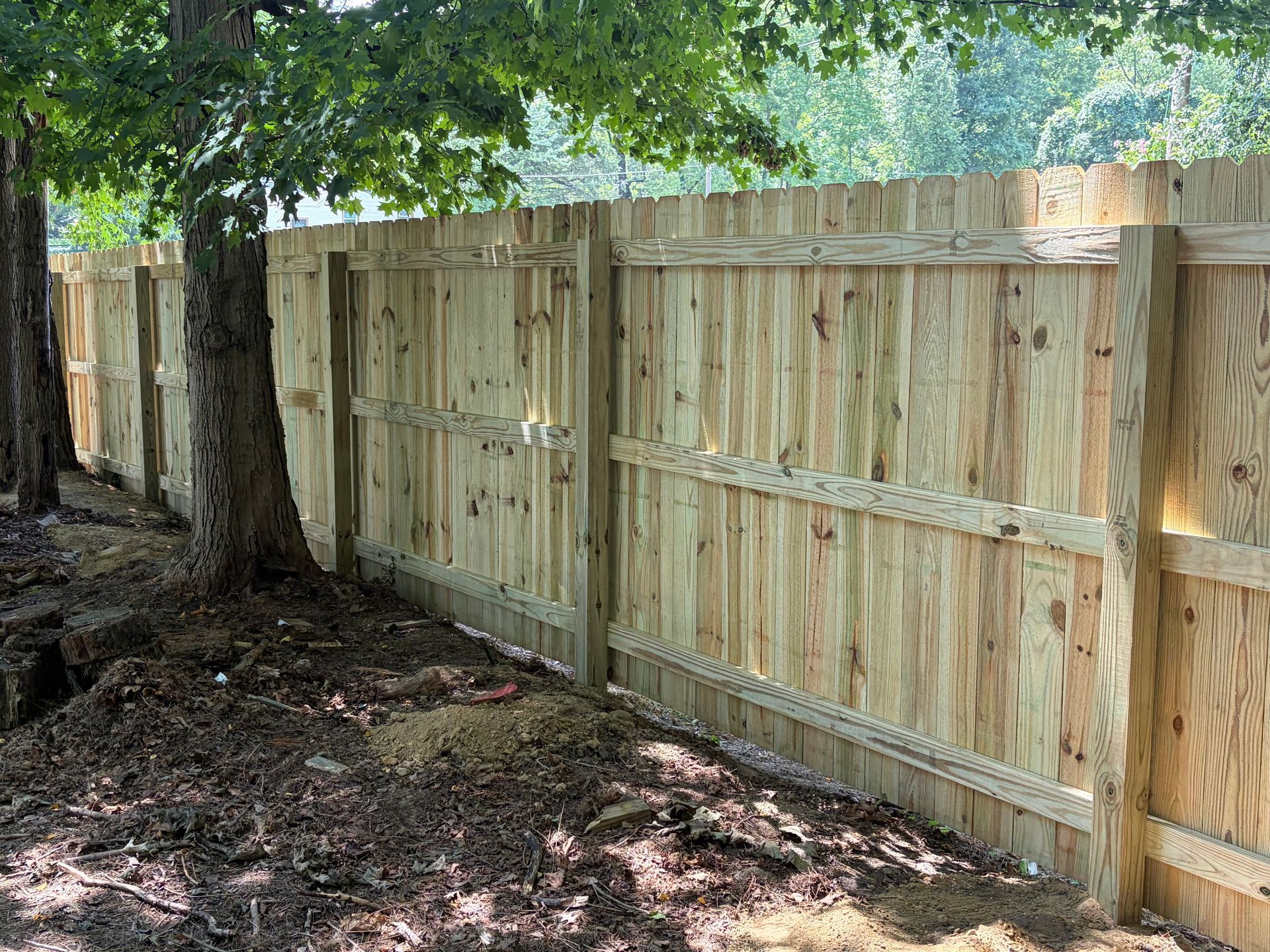 Wooden privacy fence along a shaded dirt and leaf-covered yard, with trees overhead.