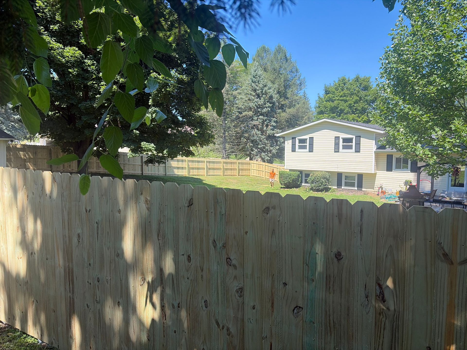 Backyard view with wooden fence, green trees, and a white house under a blue sky