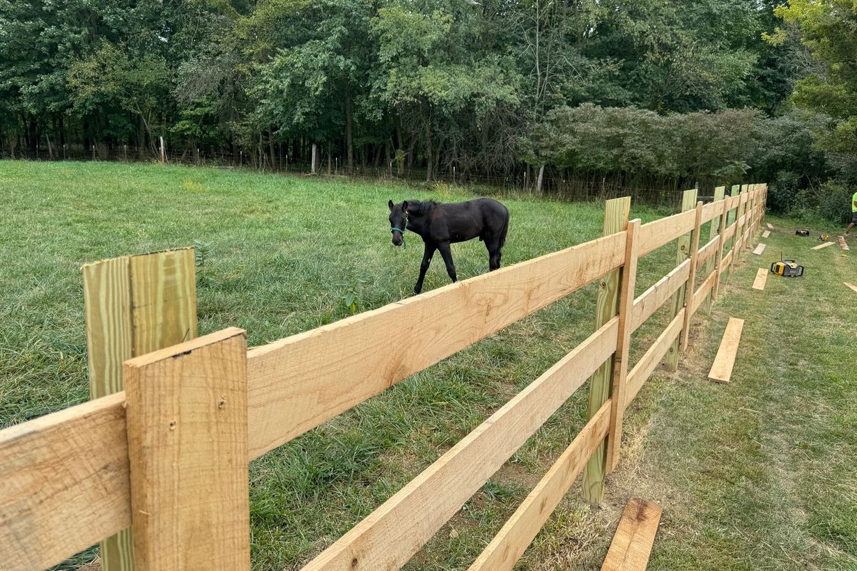 Wooden fence in a grassy field with a black horse grazing in the background.