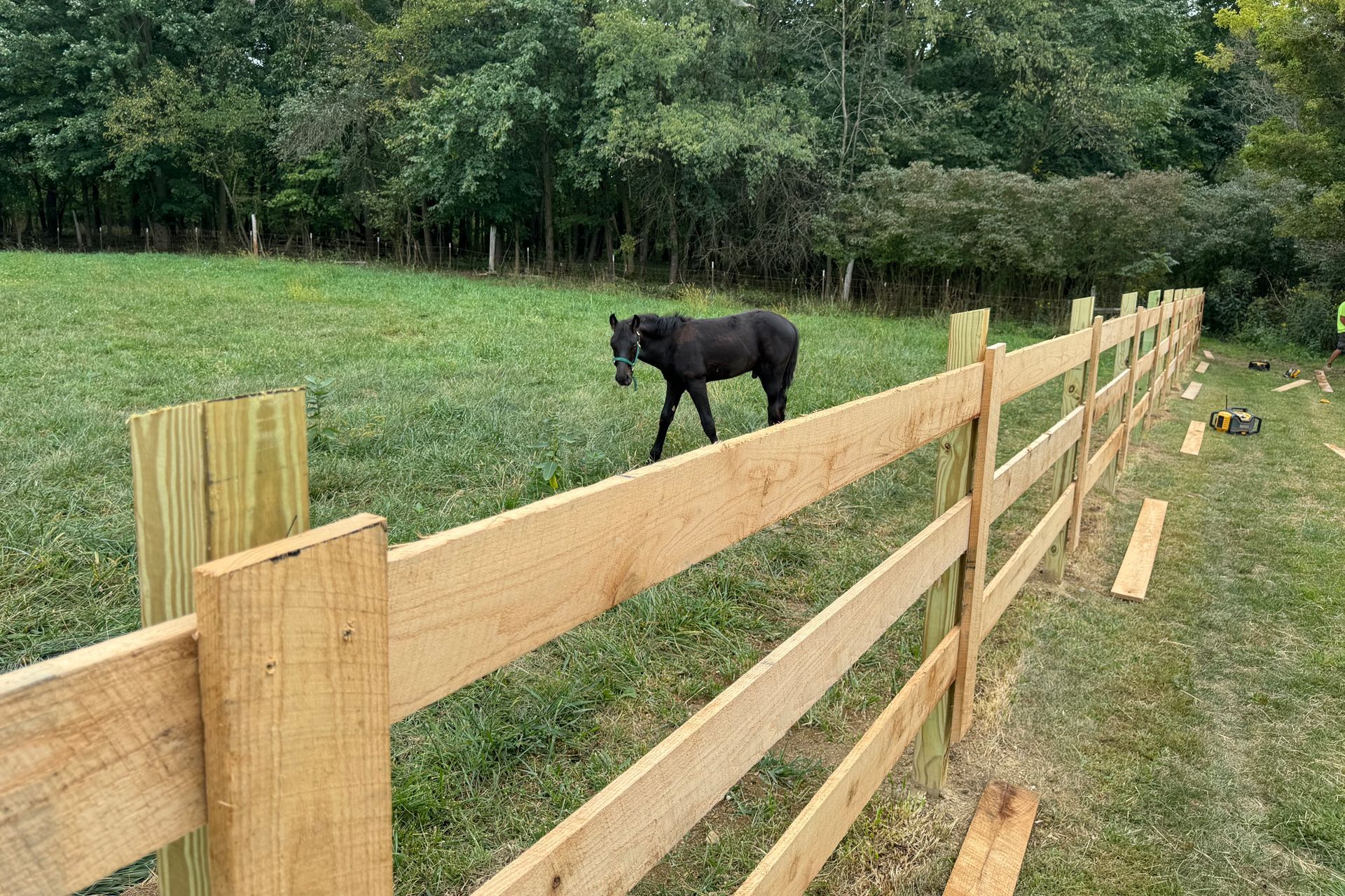 Wooden fence in a grassy field with a black horse grazing in the background.