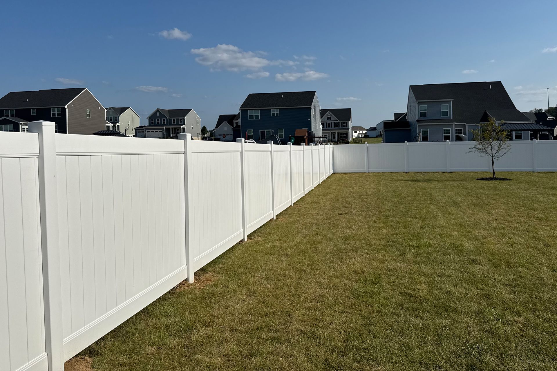 White fence encloses a grassy backyard, with houses in the background under a blue sky.