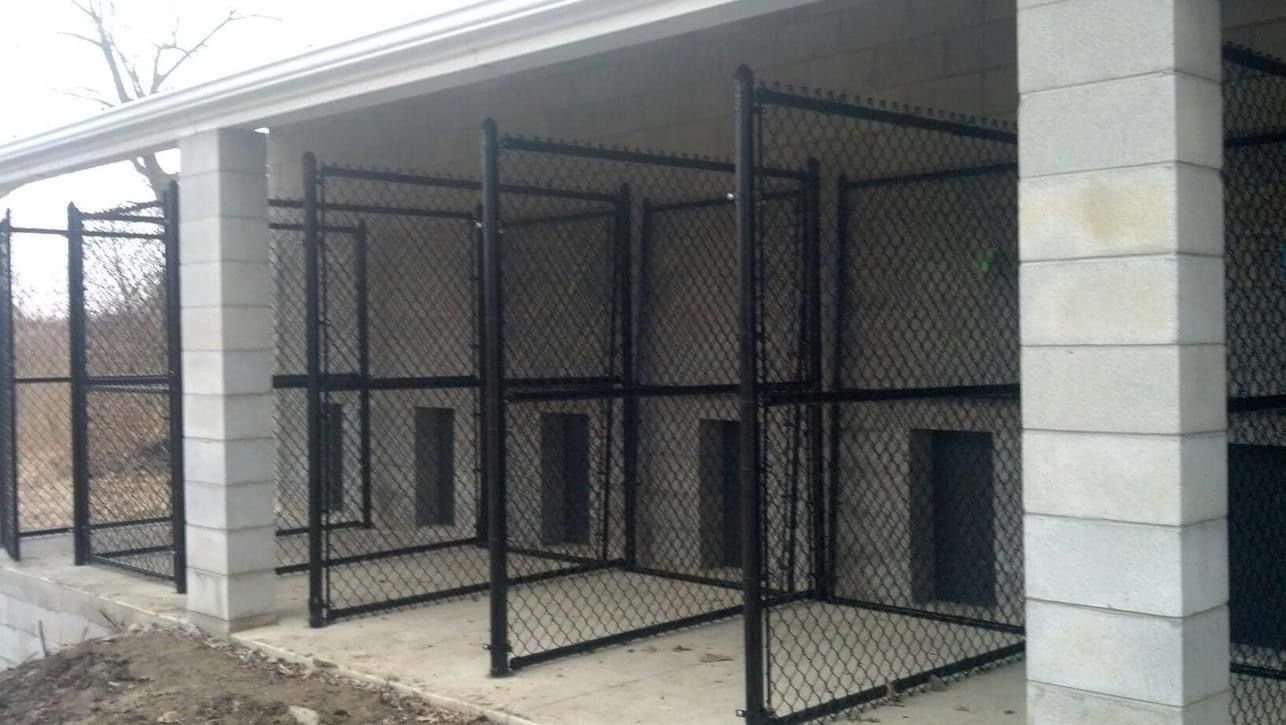 Exterior dog kennels with black chain-link fencing and gray concrete walls.