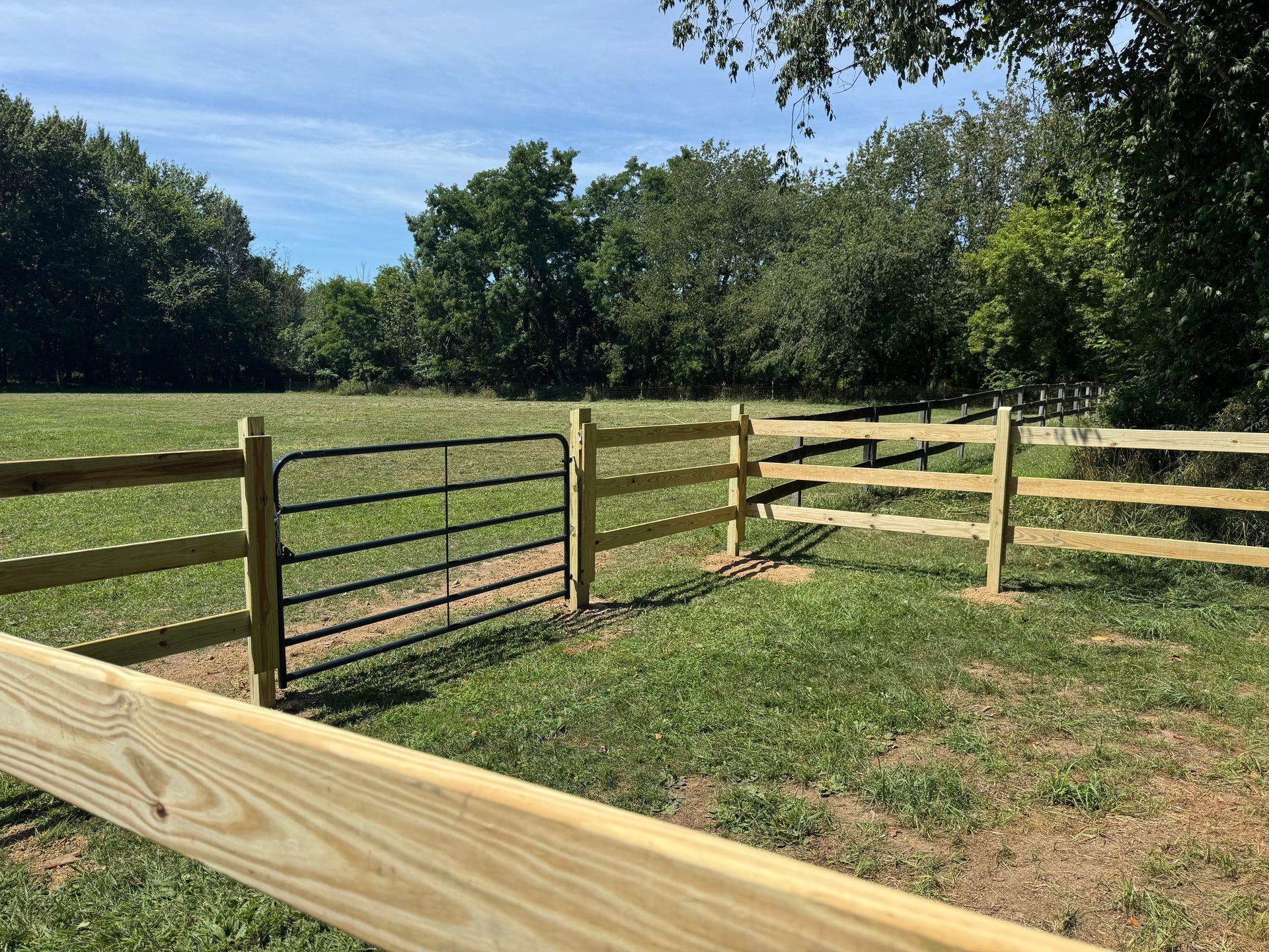 A new wooden split-rail fence with a black metal gate in a grassy field, trees in background.