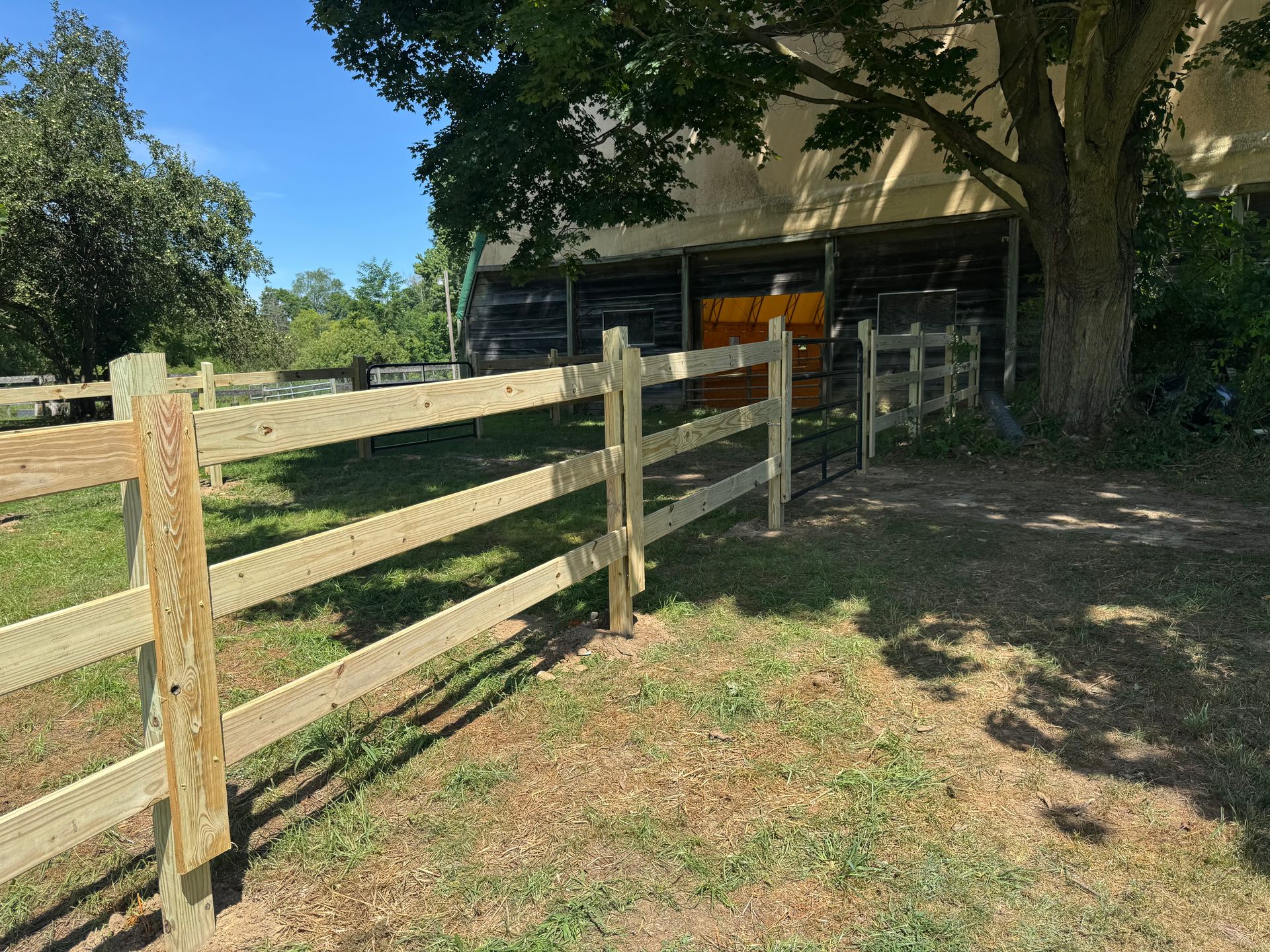 Wooden fence in a grassy area, leading to a barn entrance under a tree.