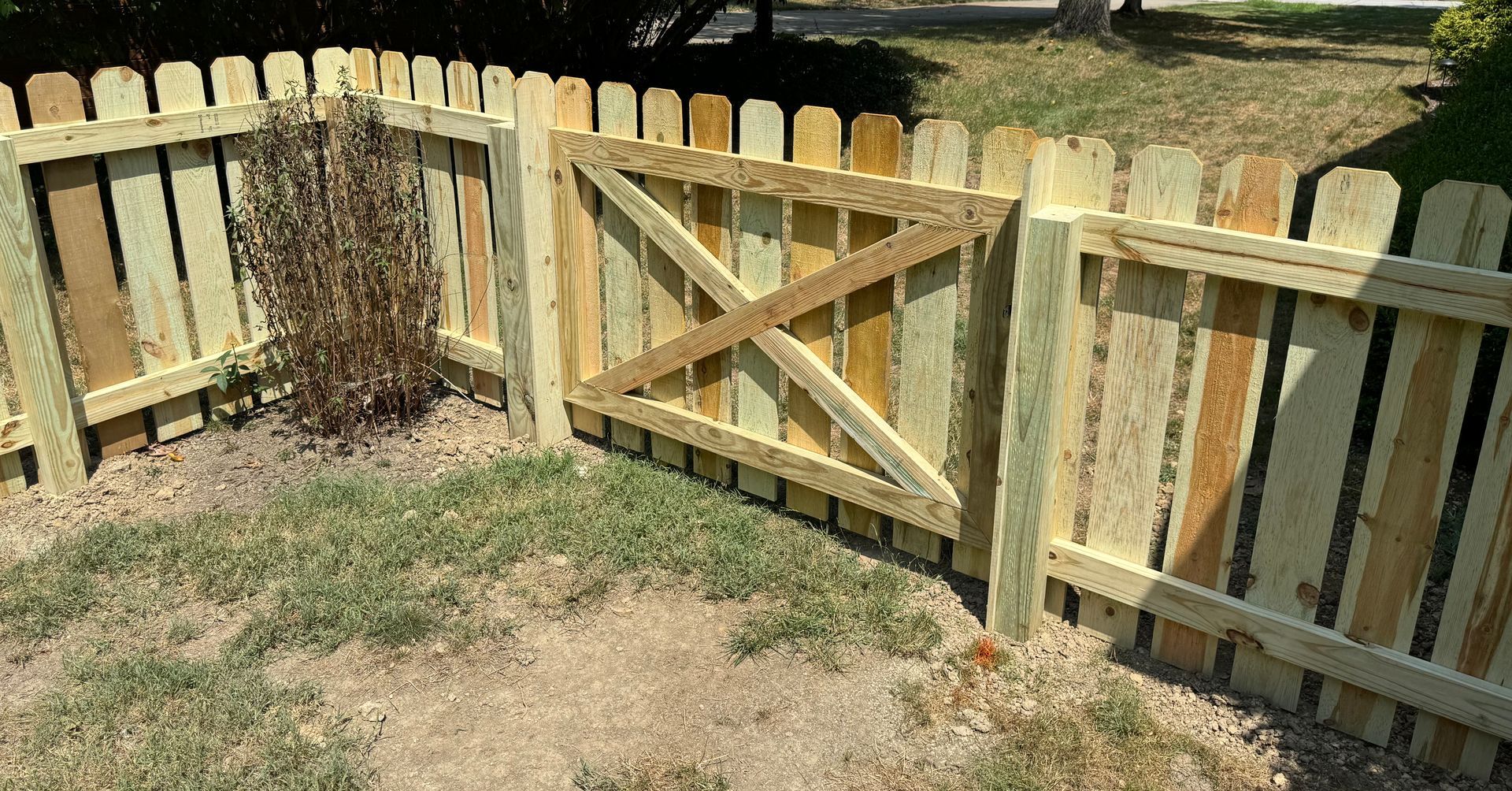 Wooden fence with gate, enclosing a grassy area with a small bush.