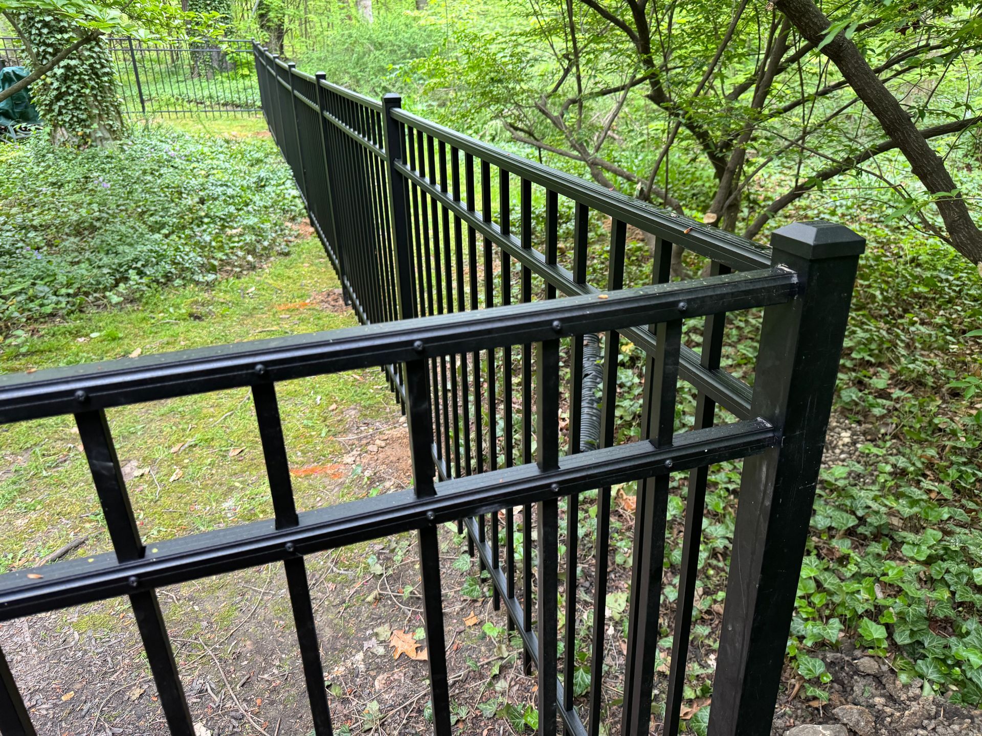 Black metal fence bordering a grassy area and lush foliage.