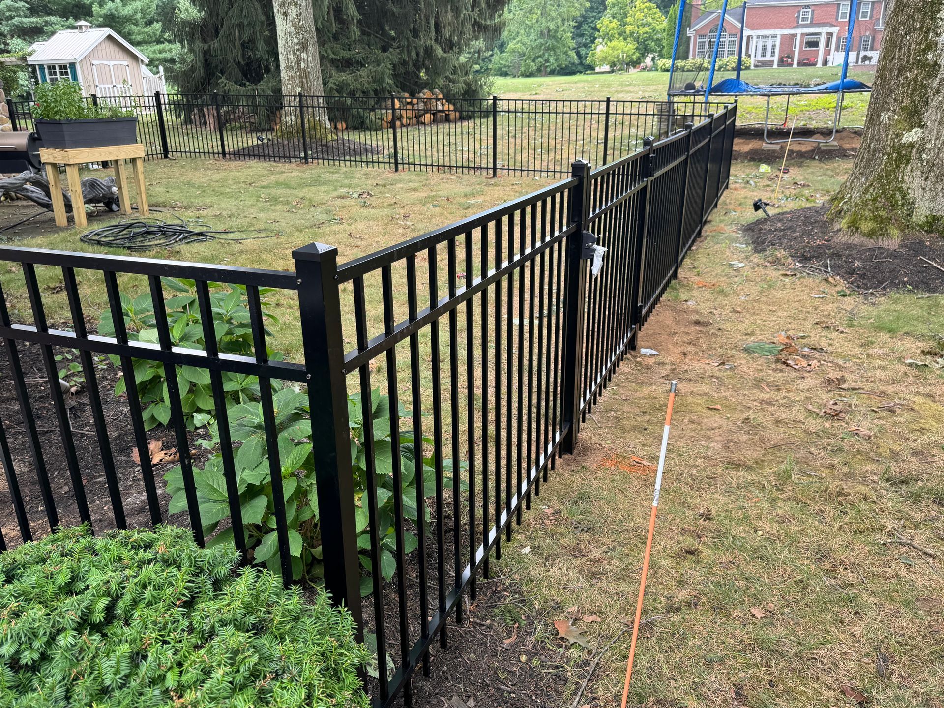 Black metal fence in a grassy backyard, with a house and trees in the background.