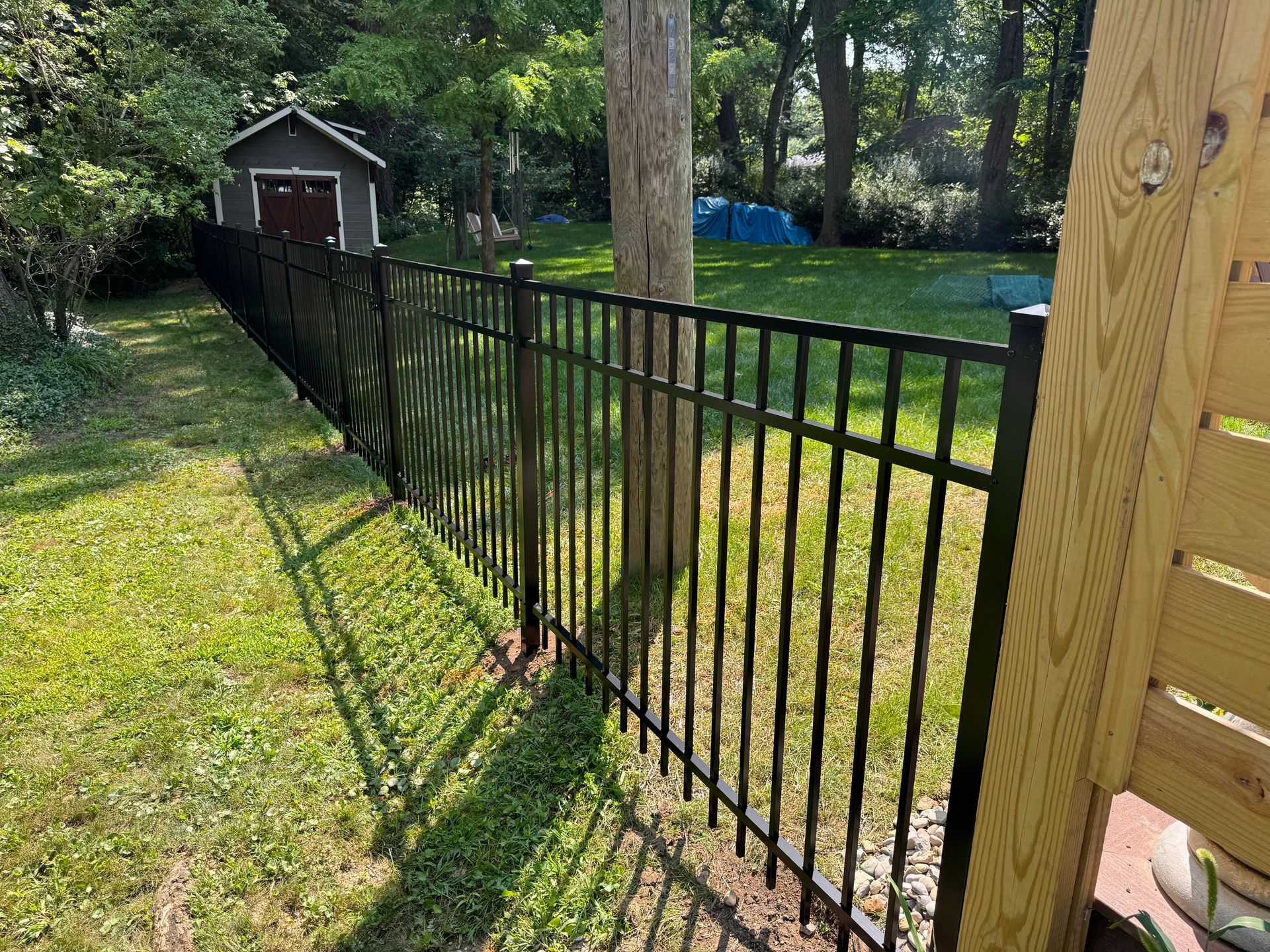 Black metal fence bordering a grassy yard with a small shed in the background on a sunny day.