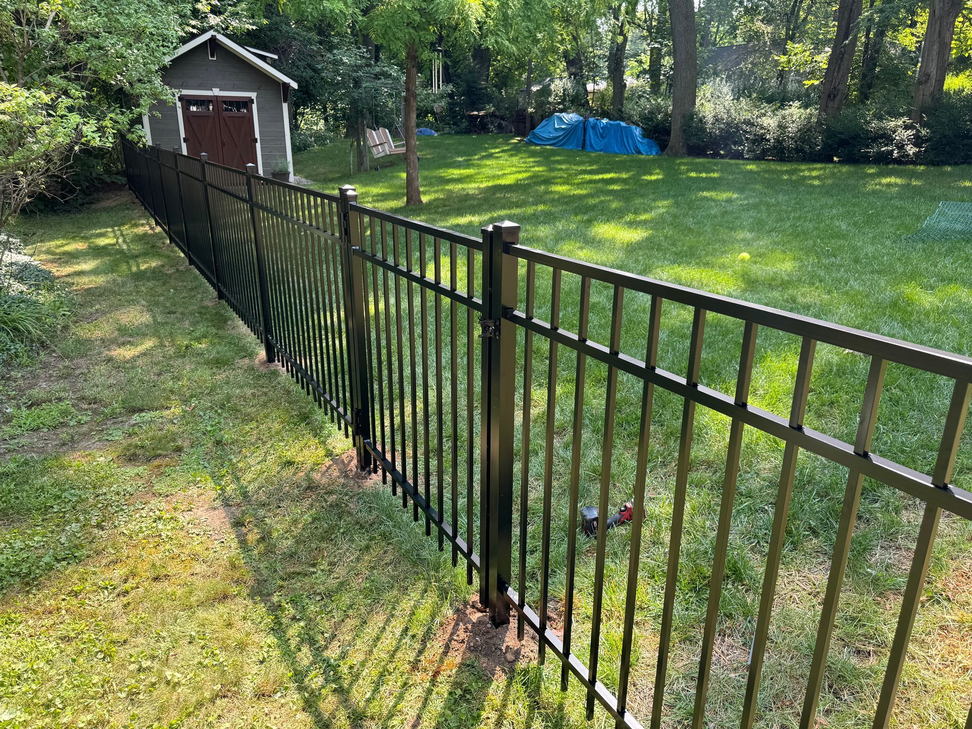 Black metal fence bordering a grassy backyard with a shed and trees.