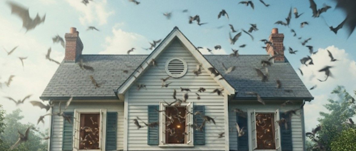 White house with birds flying around the roof and windows in a cloudy sky