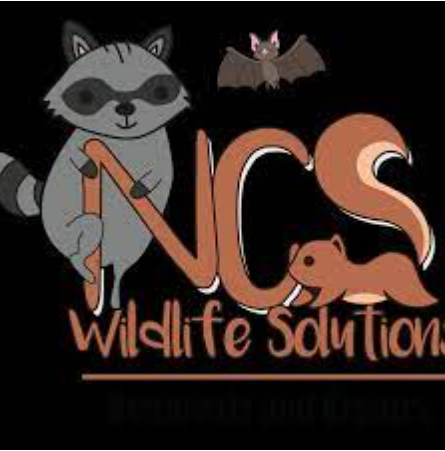 NS Wildlife Solution logo with a raccoon, bat, and snake on a black background