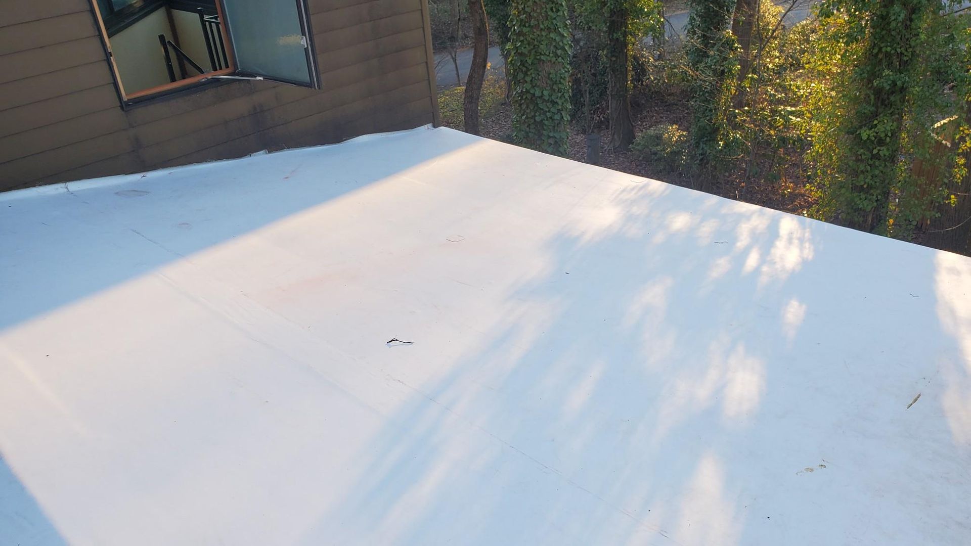 A white roof with a window and trees in the background.