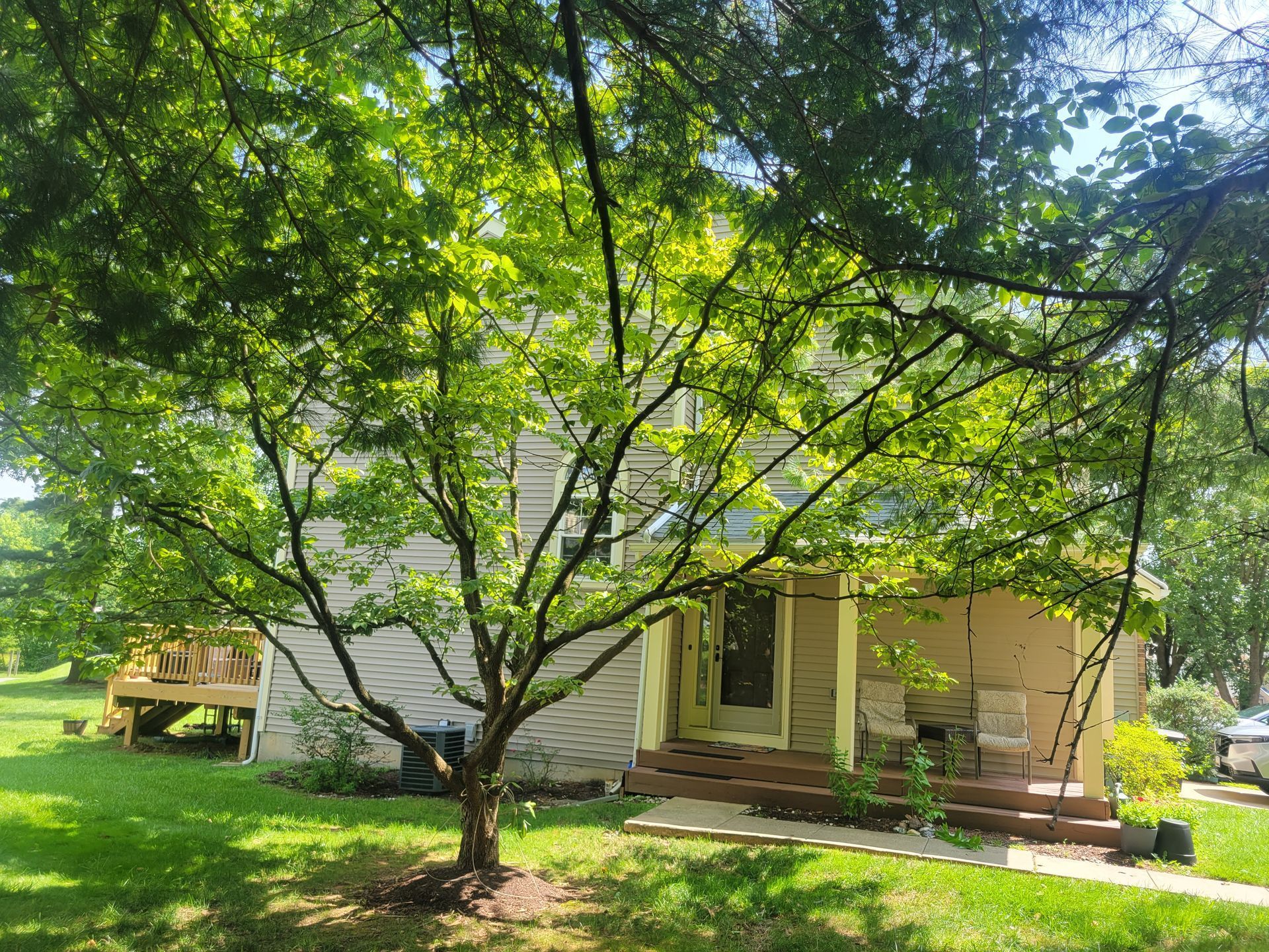 a house with a tree in front of it on a sunny day