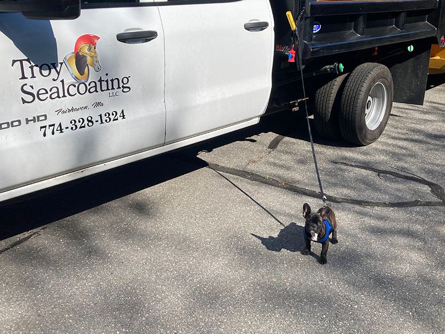 Troy Sealcoating LLC service truck and a dog with a leash