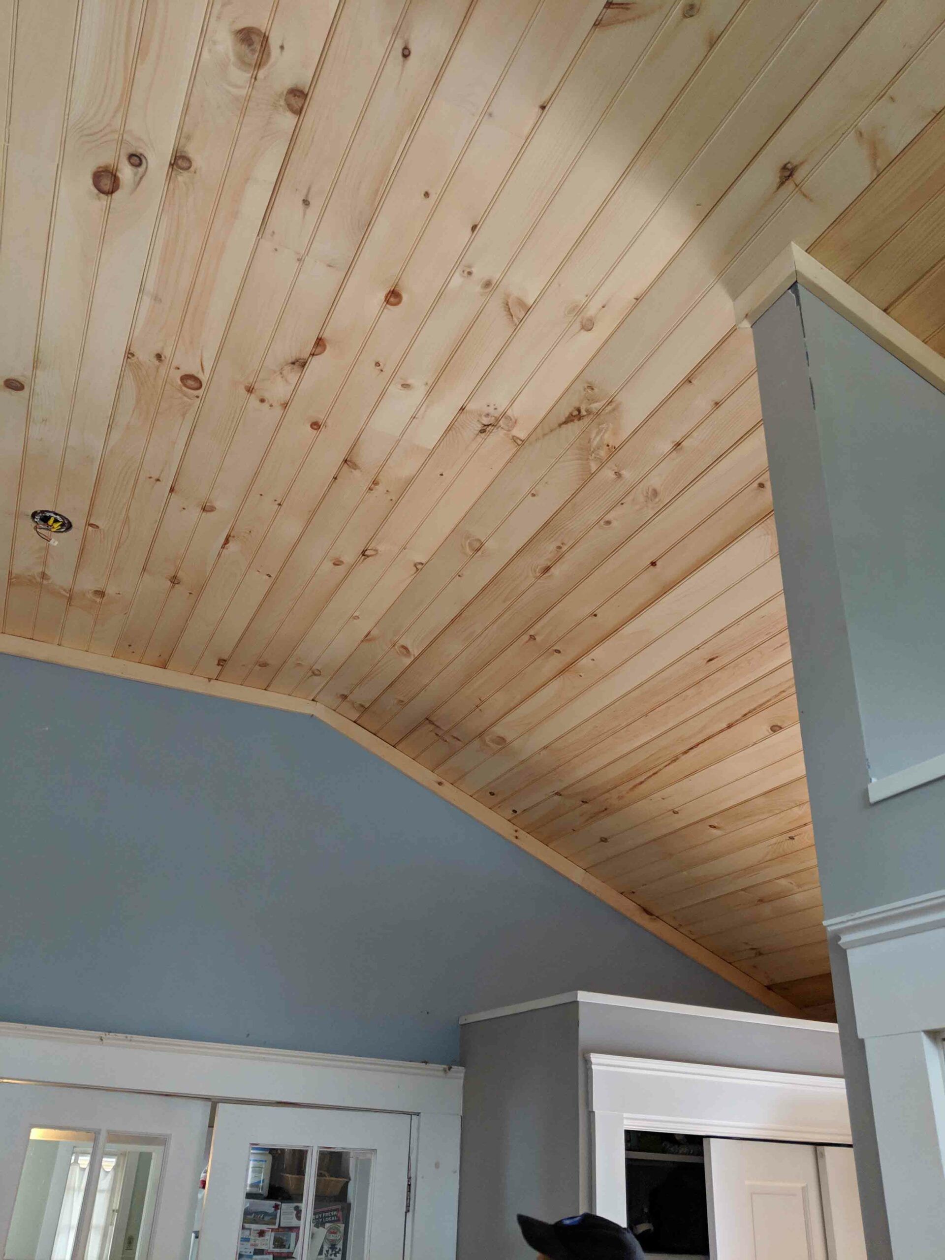 A dog is standing under a wooden ceiling in a room