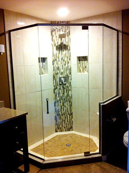 Shower door and guard