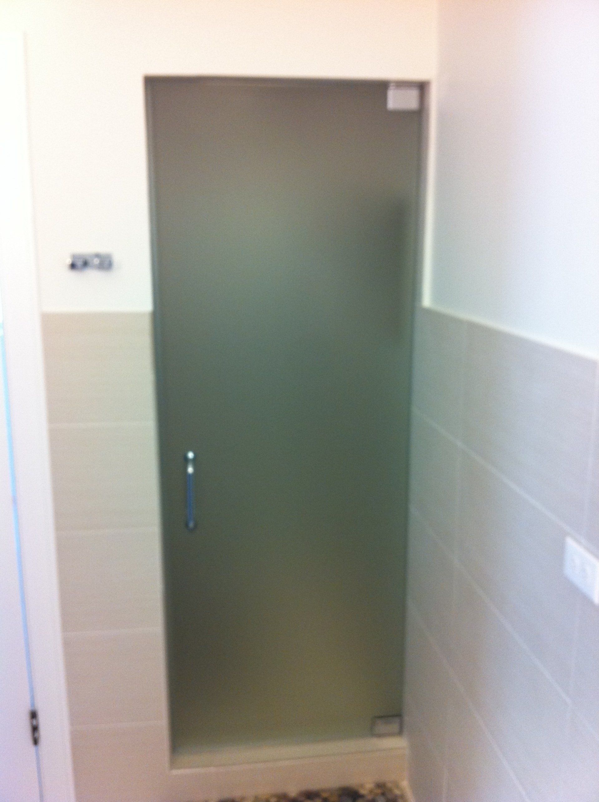 Glass Shower door