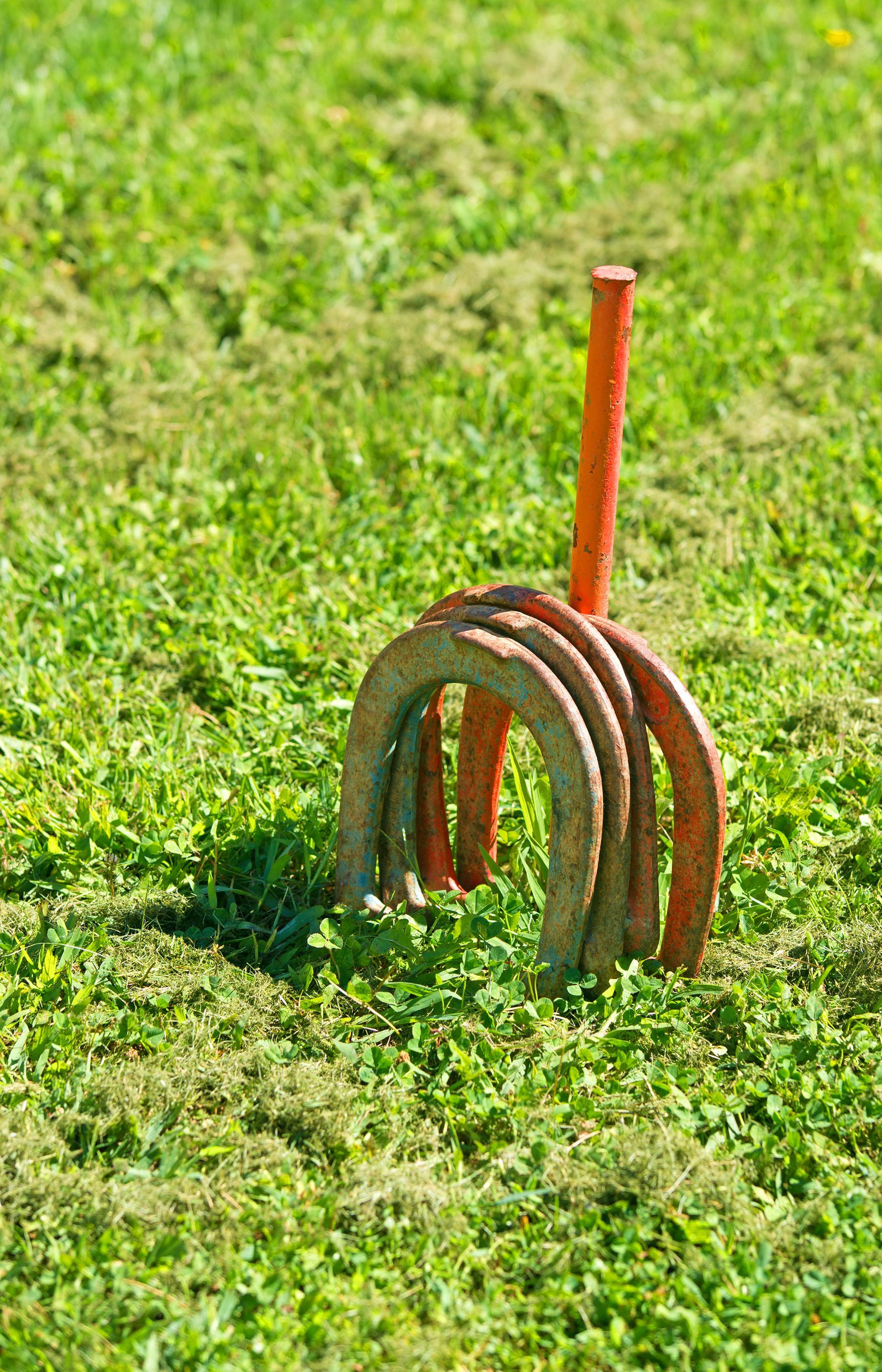 Horseshoes