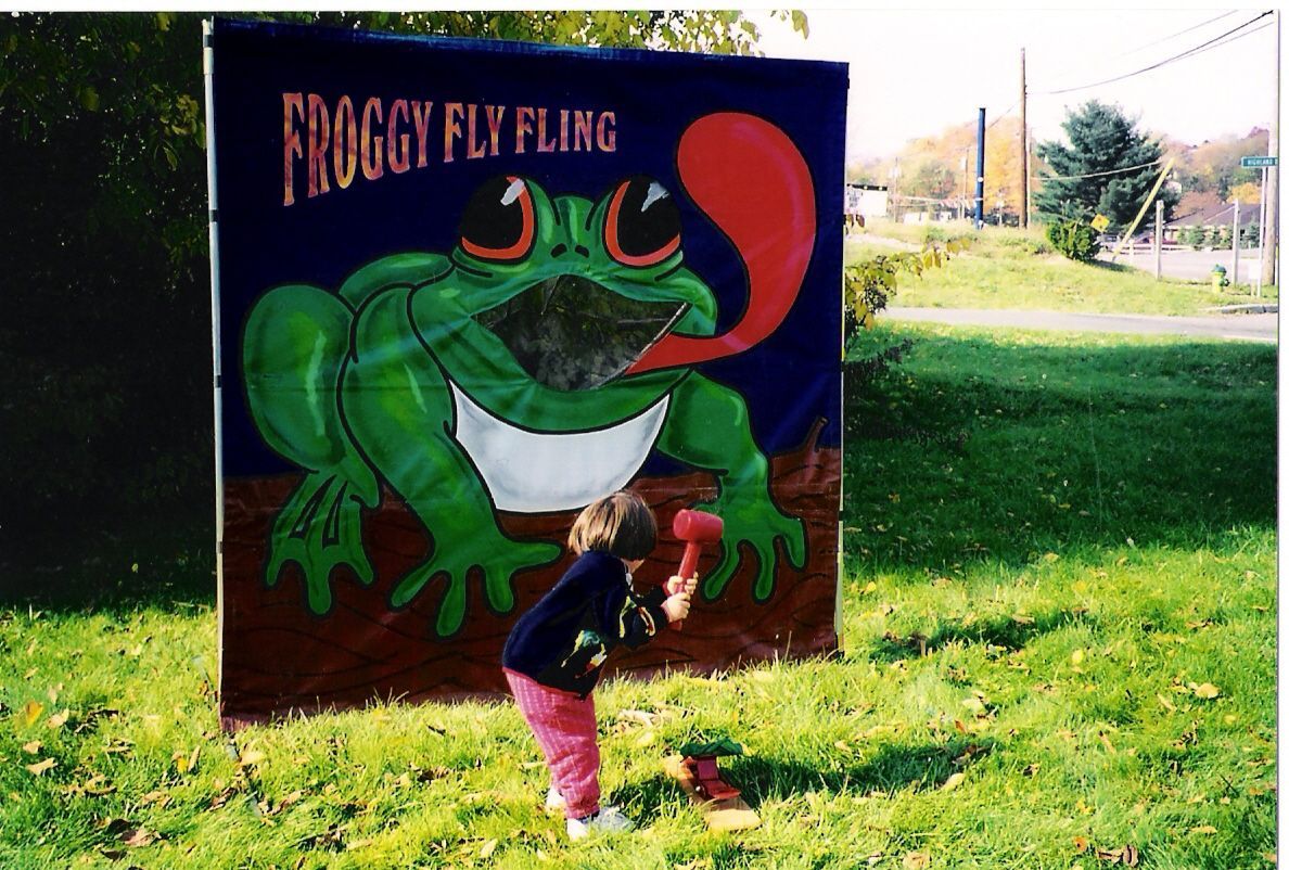 Froggy Fly Fling