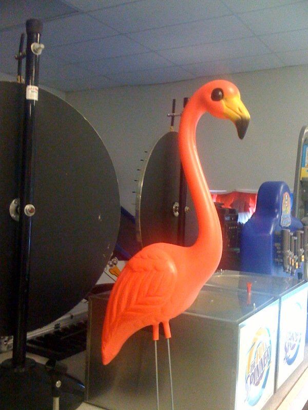Pink Flammingo's