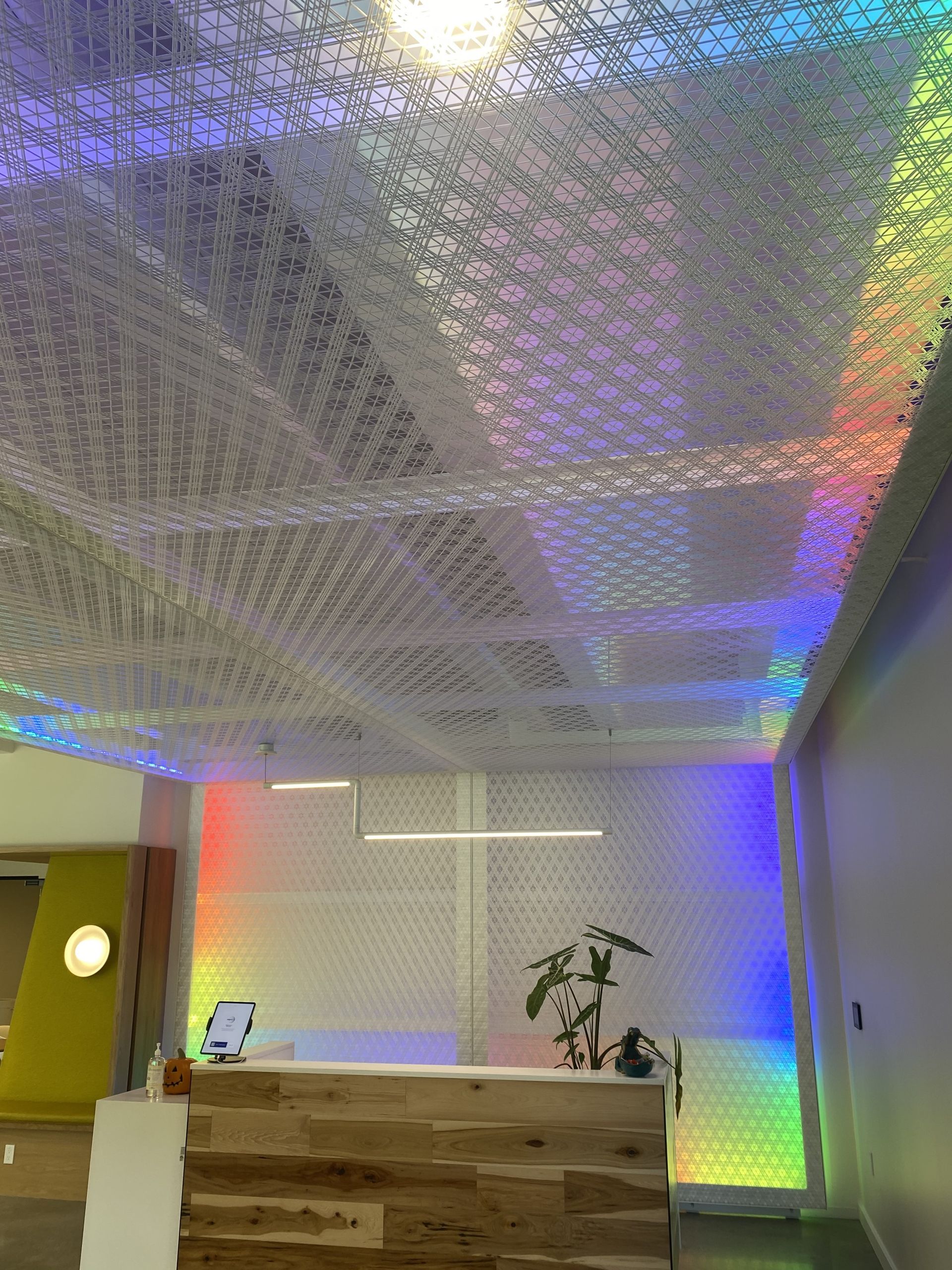 Ceiling art installation with iridescent light, above a reception desk with a plant.