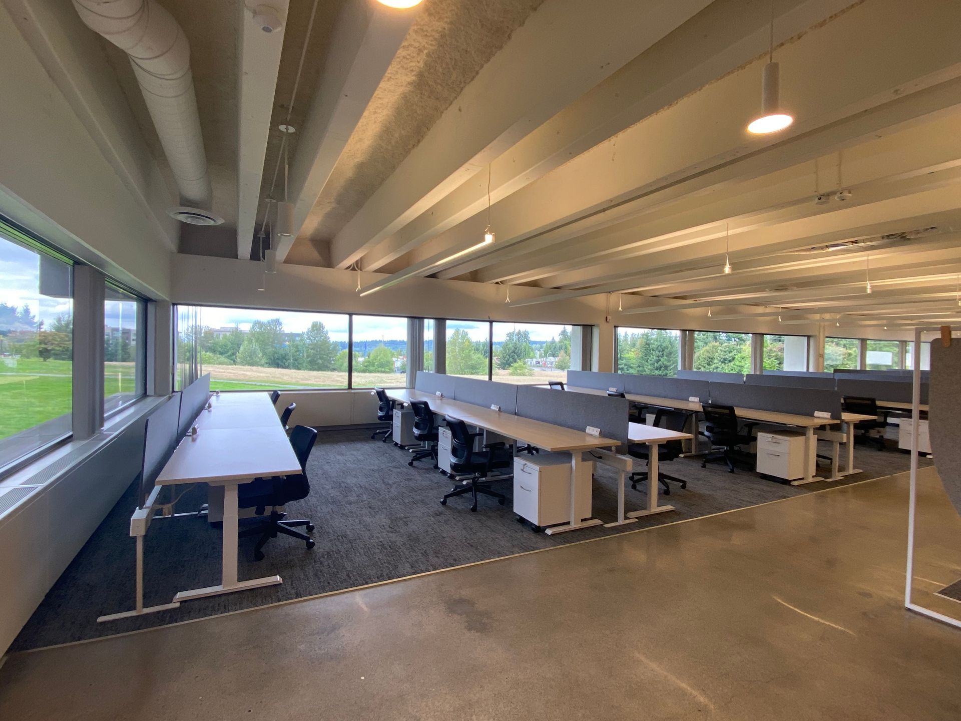 Bright office with rows of desks, large windows overlooking greenery, and a concrete ceiling.