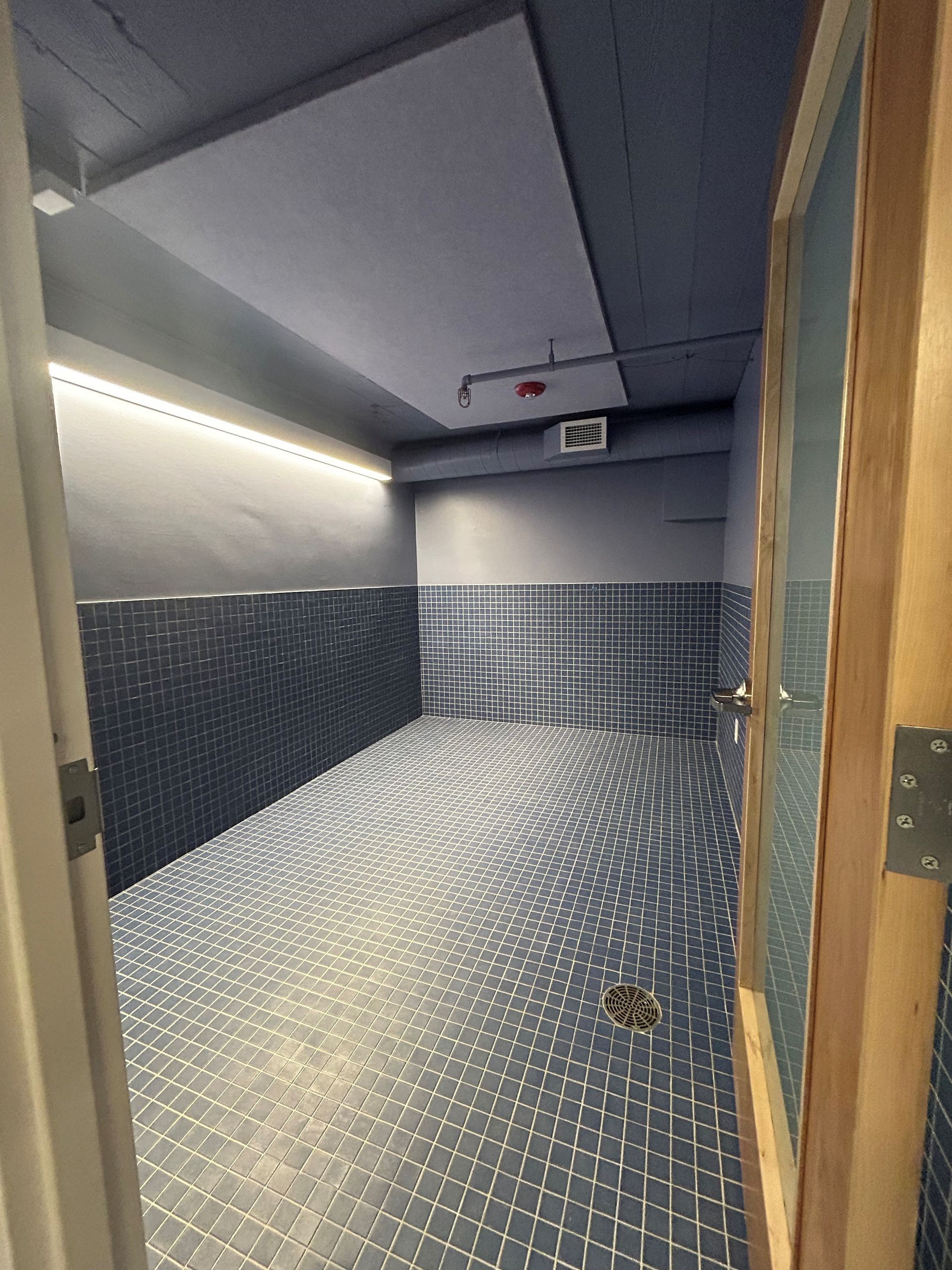Bathroom interior, dark blue tiled walls and floor, light strip and ceiling panel. Wooden door frame.