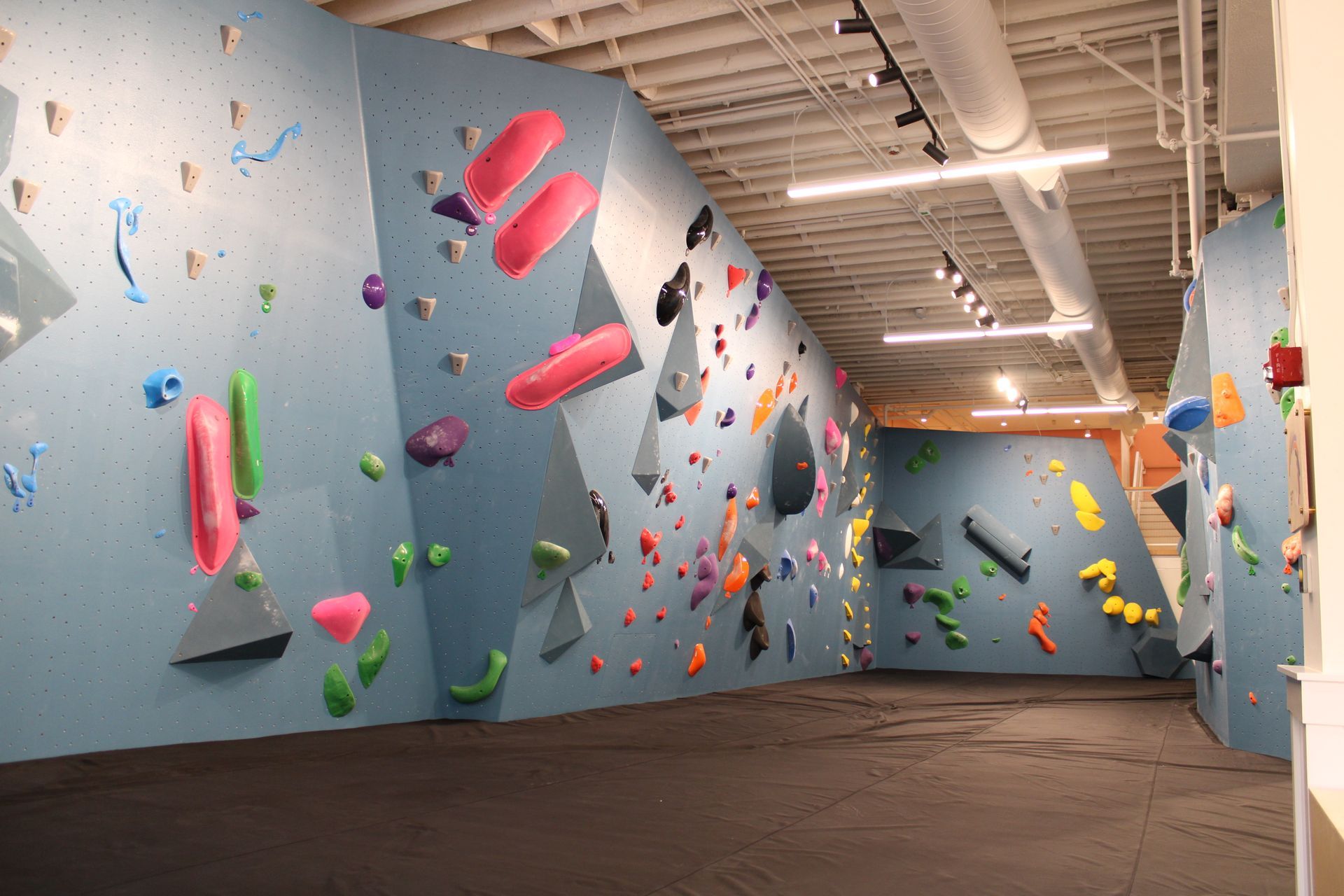 Indoor climbing gym with blue walls, colorful handholds, and black floor padding.
