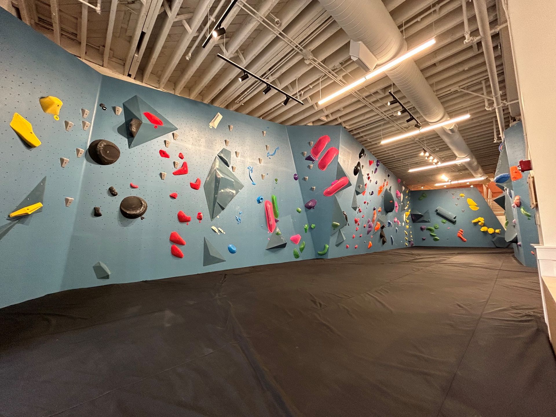 Indoor rock climbing gym with blue walls, colorful holds, and black floor padding.