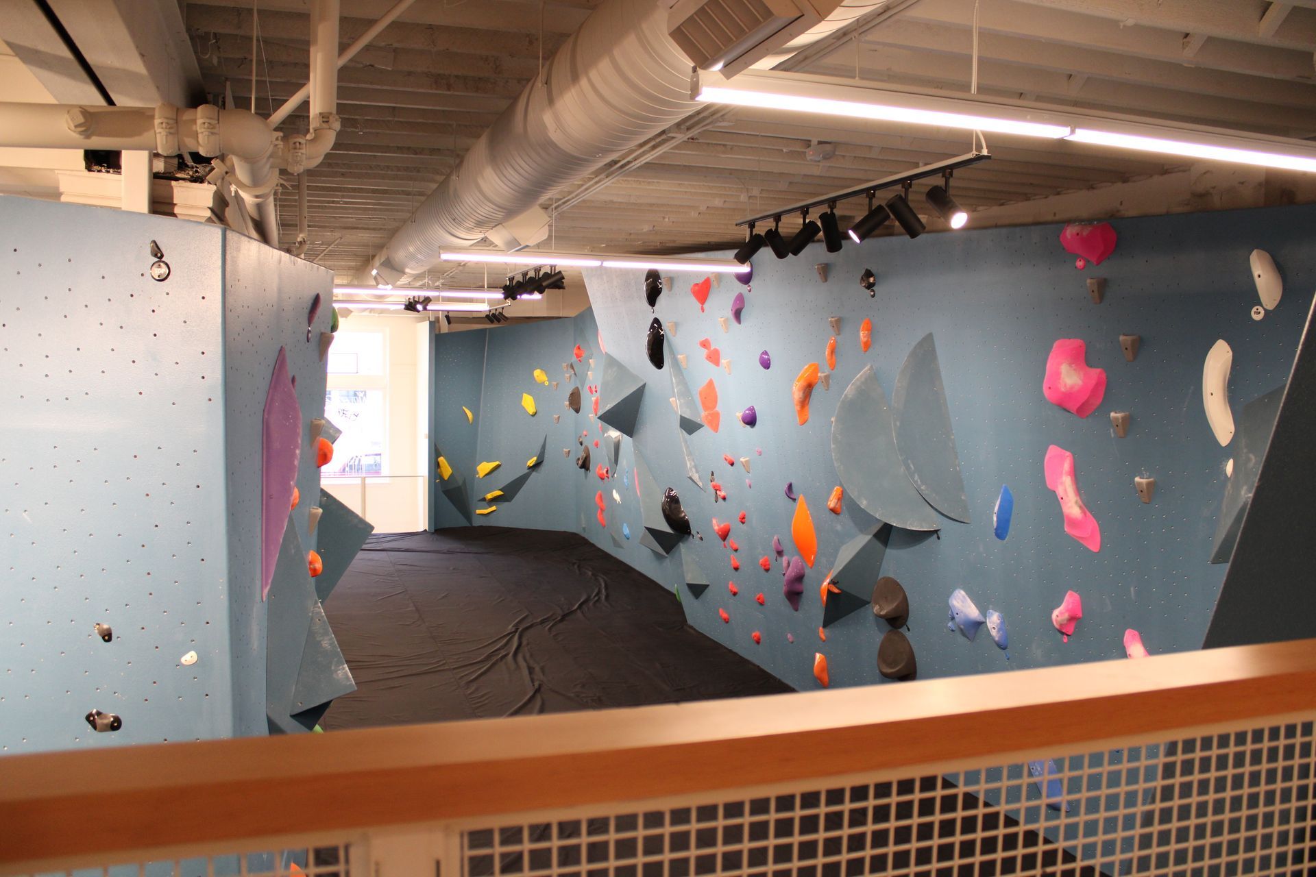 Interior of a climbing gym with blue walls, holds of various colors, and black mats.