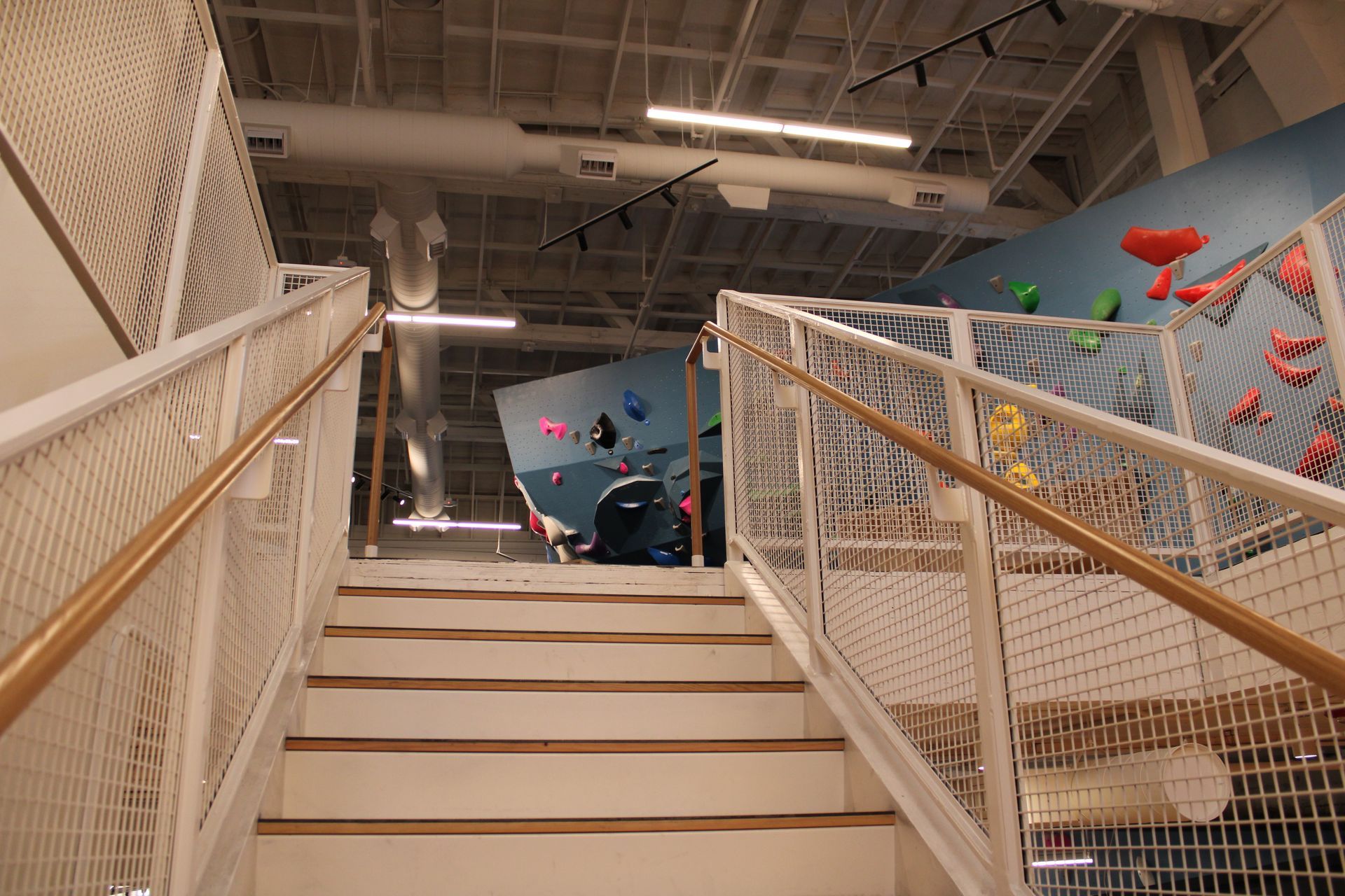 Staircase leading up to a climbing wall. White railing, tan handrail, and climbing holds visible.